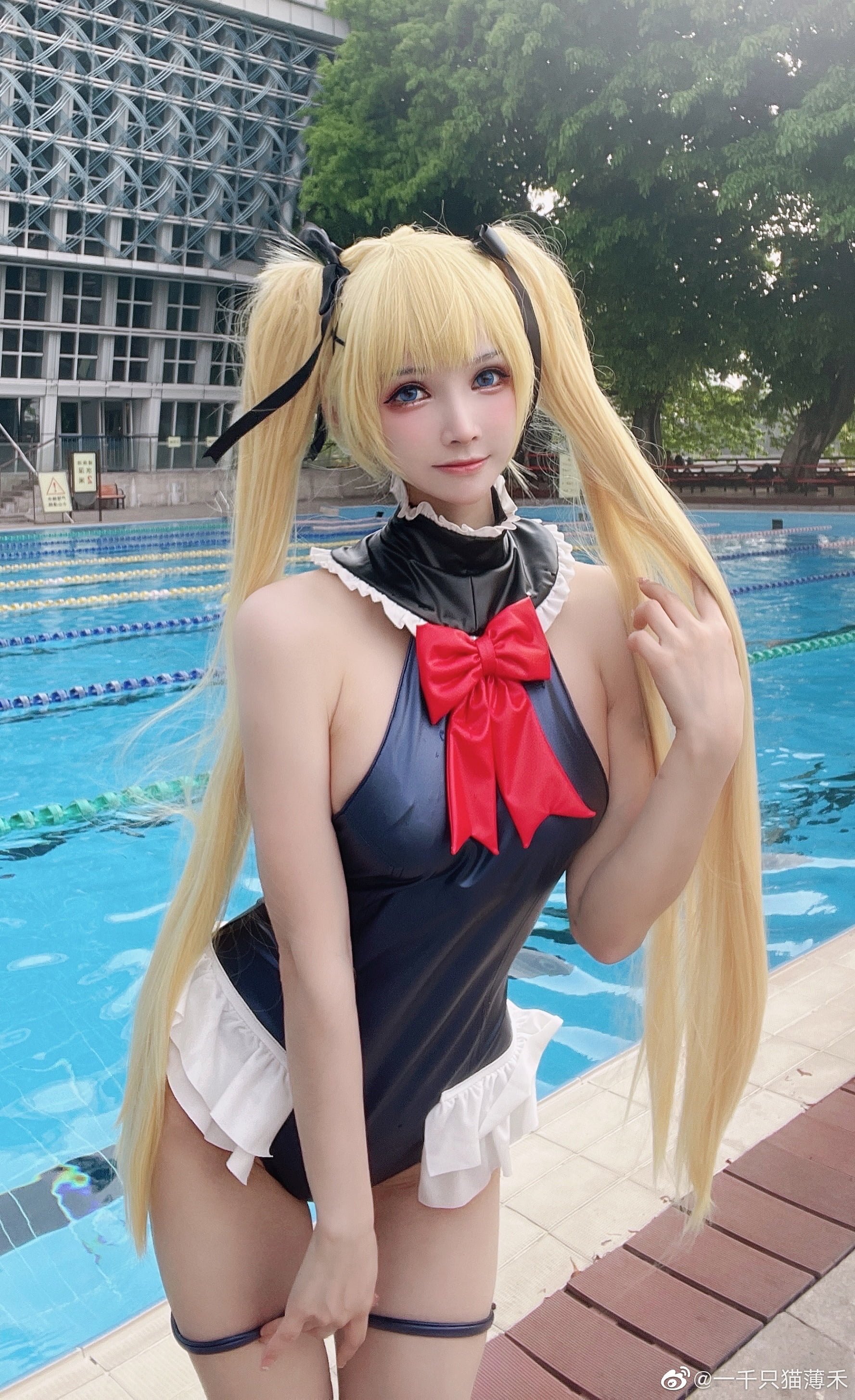 หนึ่งพันตัวแมว โบ เหอ] เว่ยโบ๋ ภาพต่างๆ