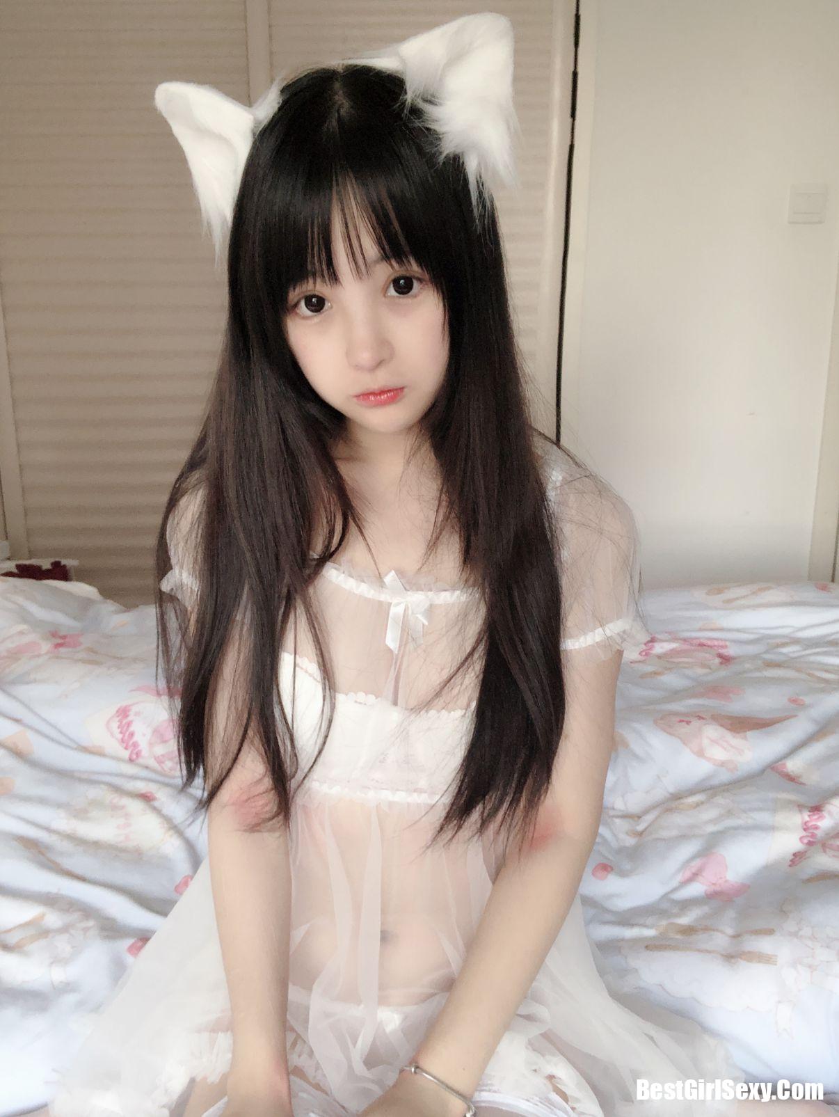 Sakurai Ningning] Mèo trắng nhỏ