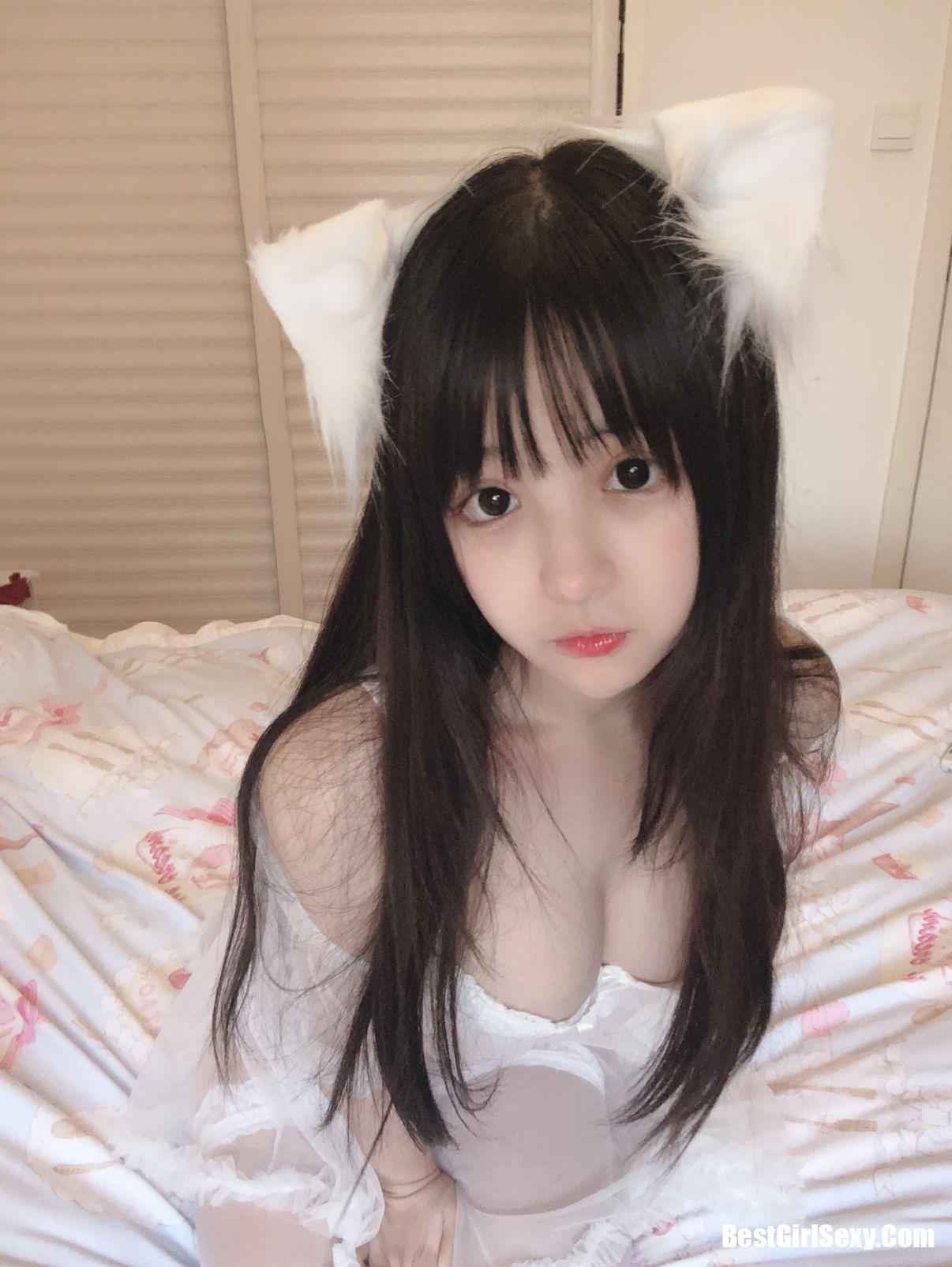 Sakurai Ningning] Mèo trắng nhỏ