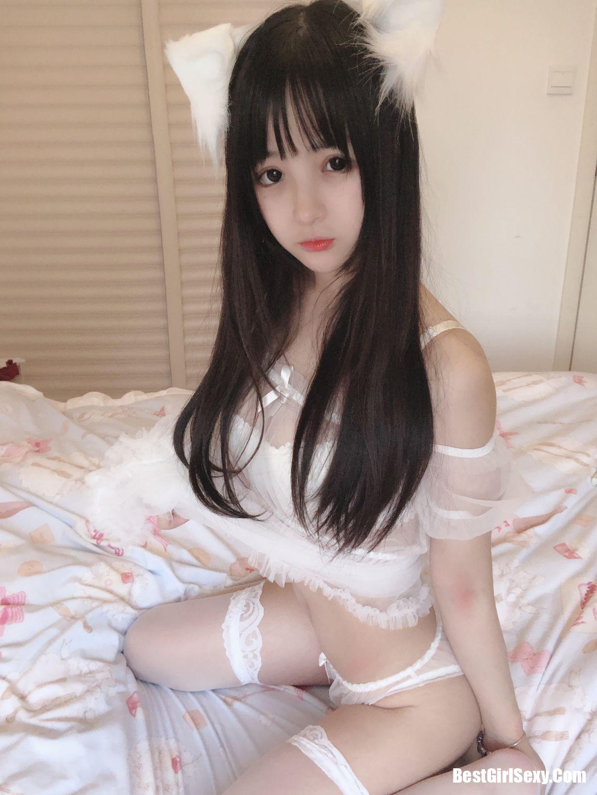Sakurai Ningning] Mèo trắng nhỏ