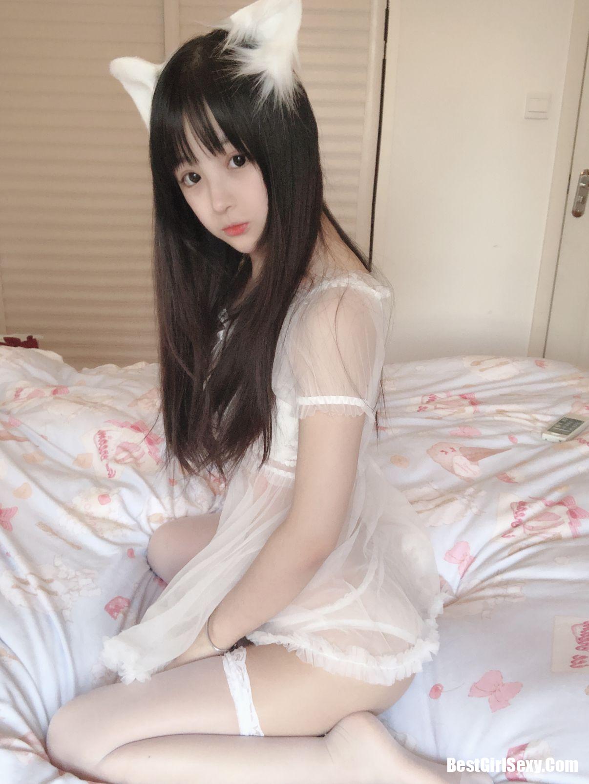 Sakurai Ningning] Little White Cat