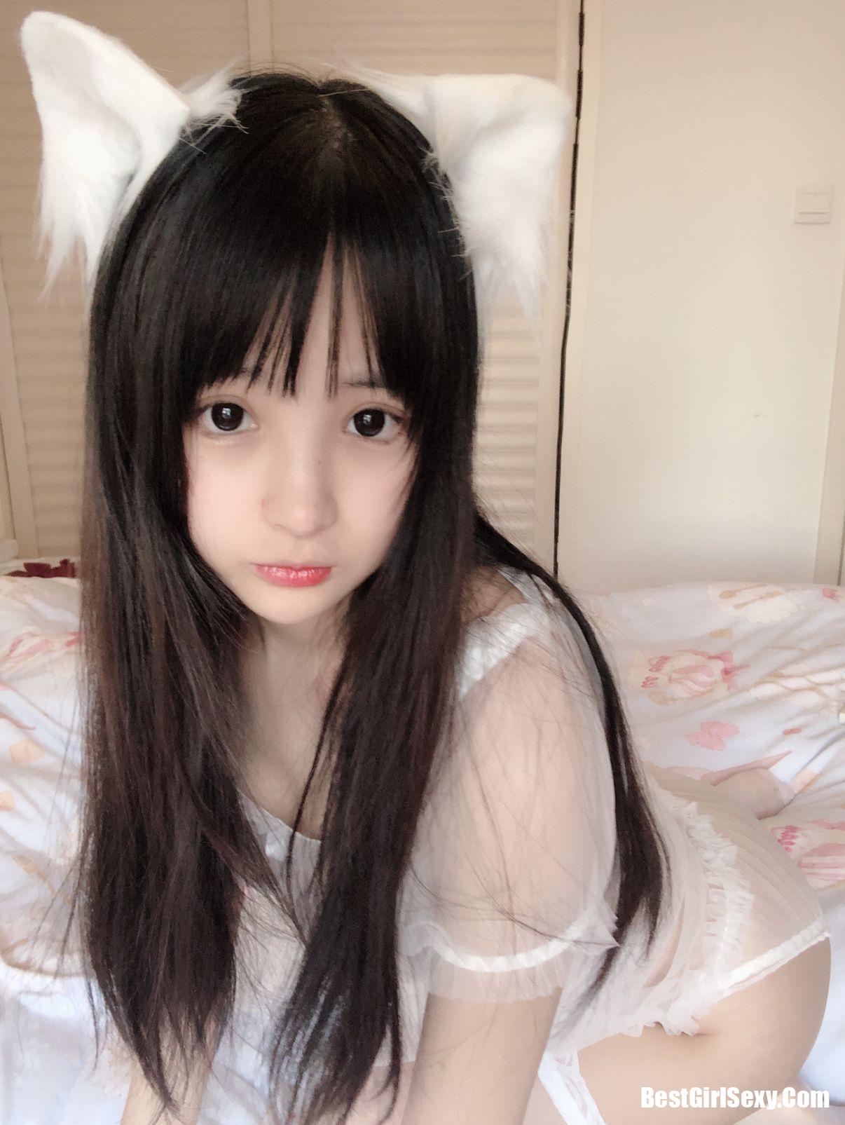 Sakurai Ningning] Little White Cat