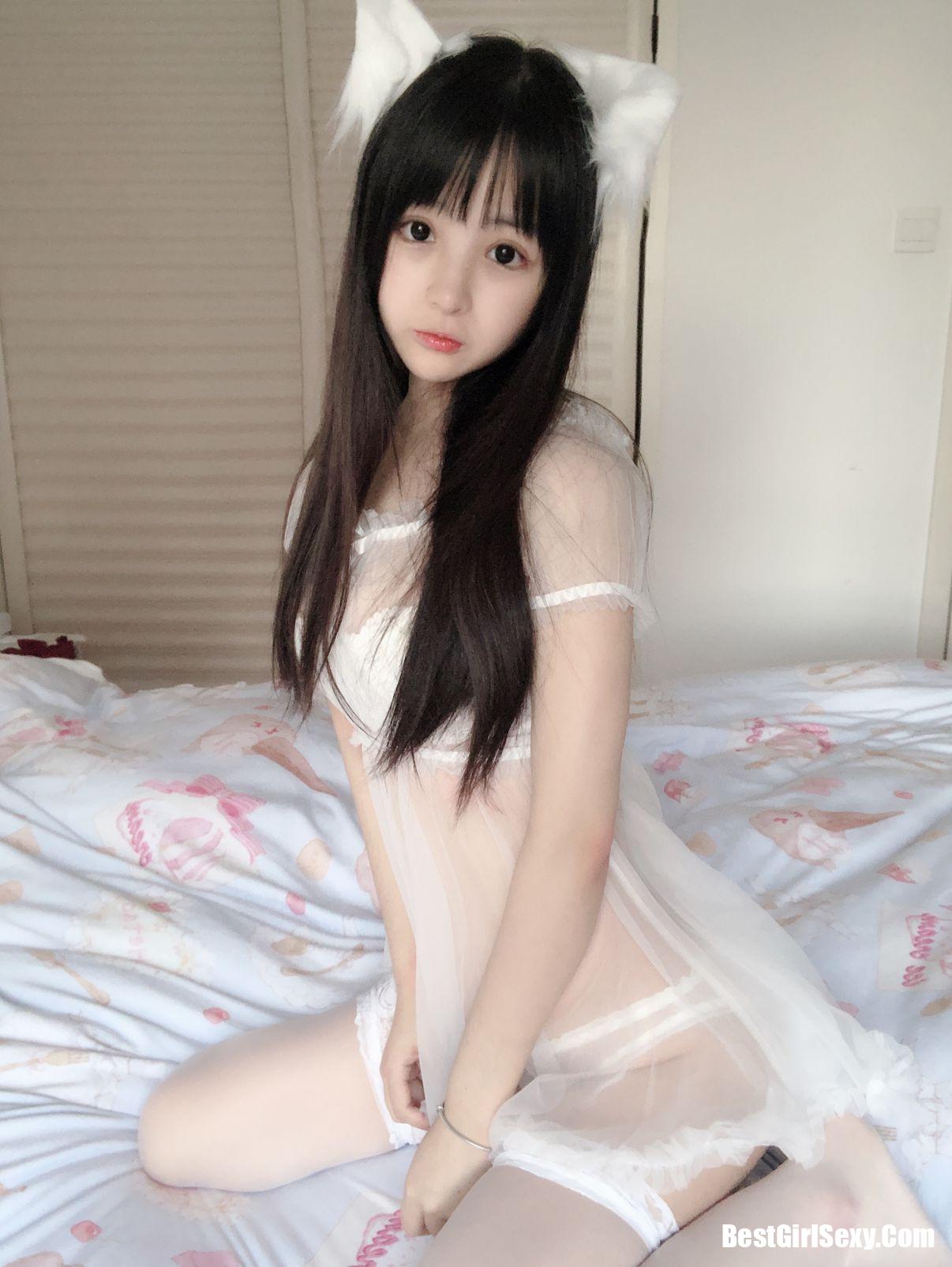 Sakurai Ningning] Little White Cat