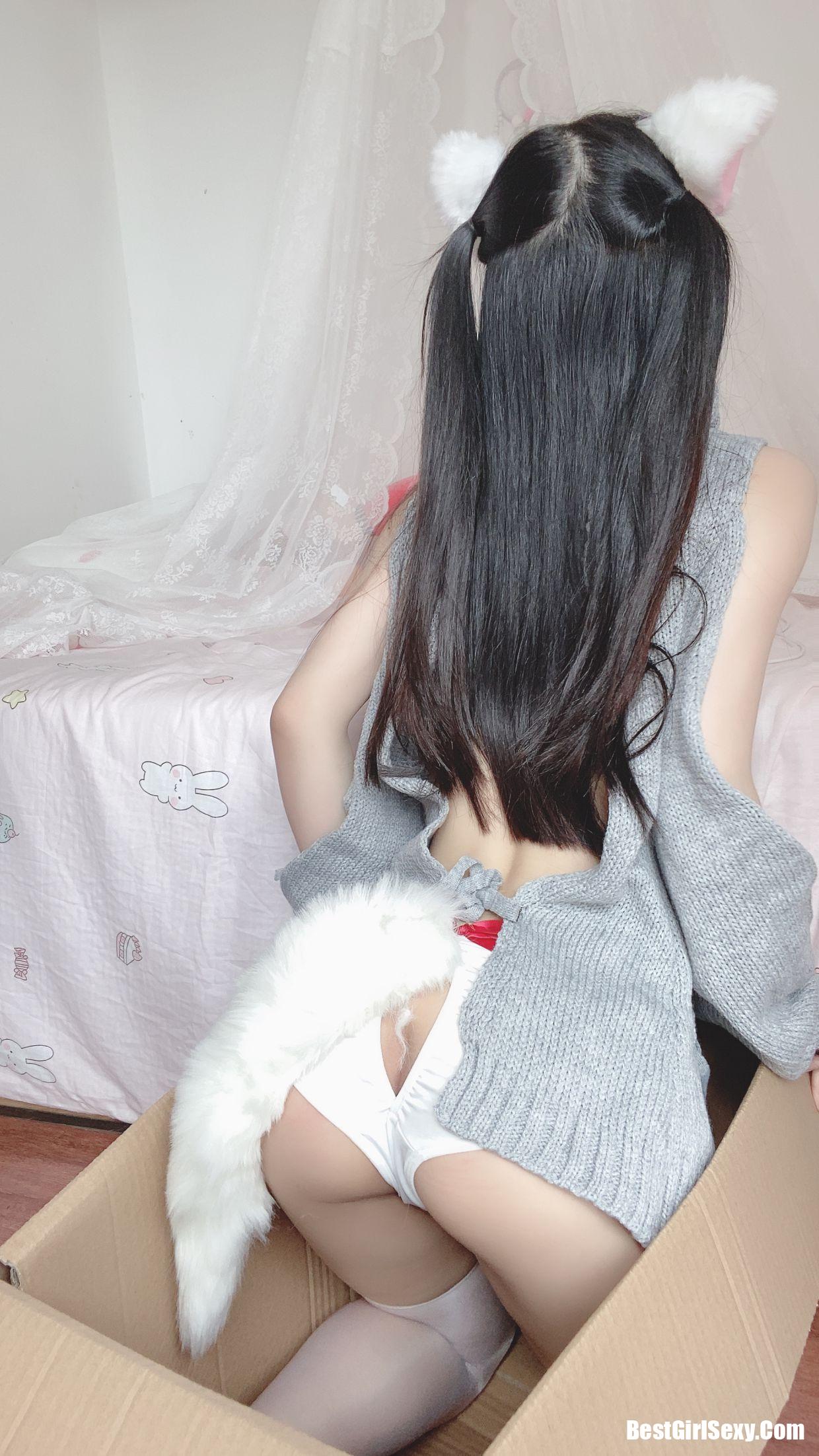 桜井ニンニン] 白い猫ちゃん
