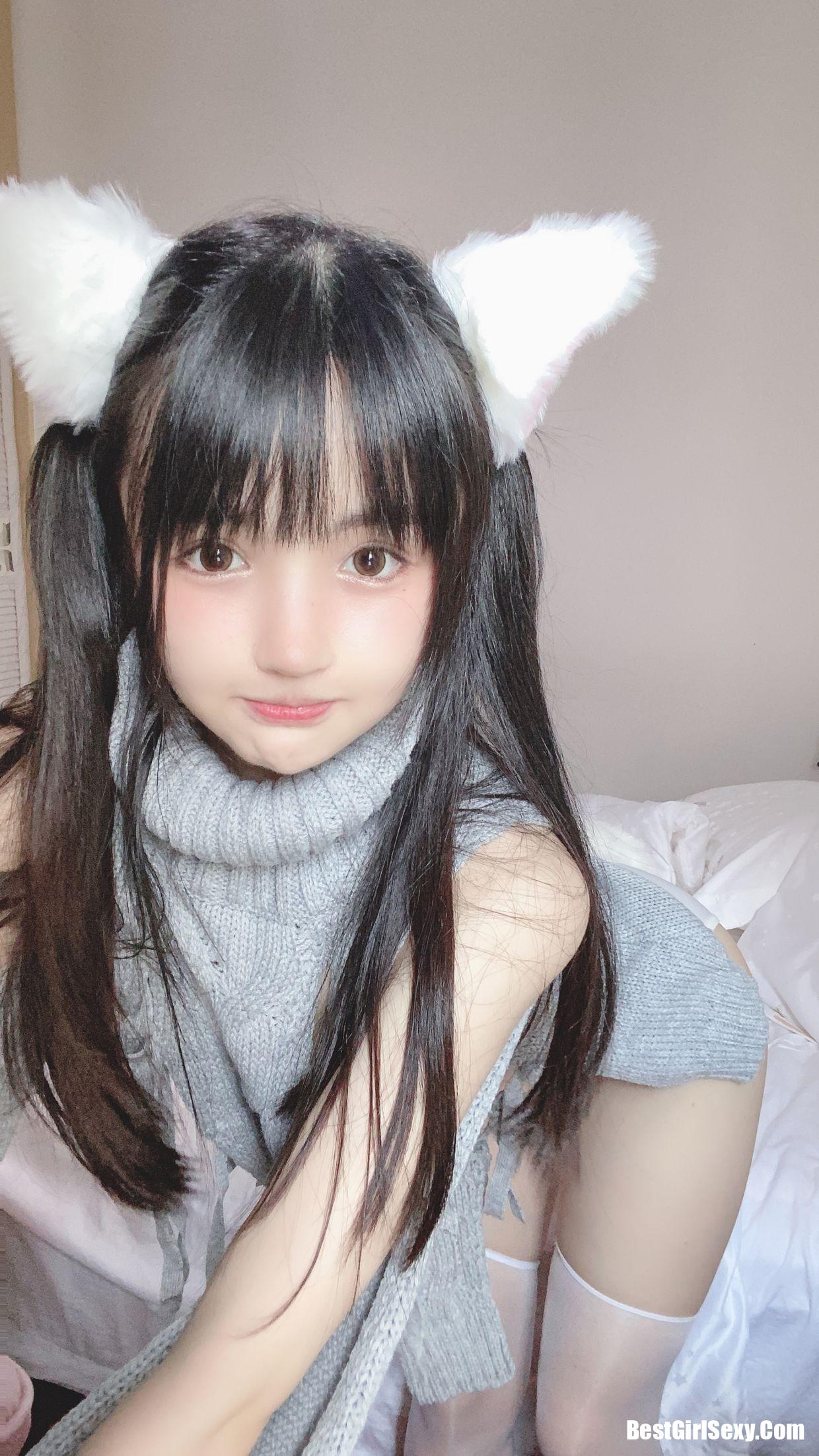桜井ニンニン] 白い猫ちゃん