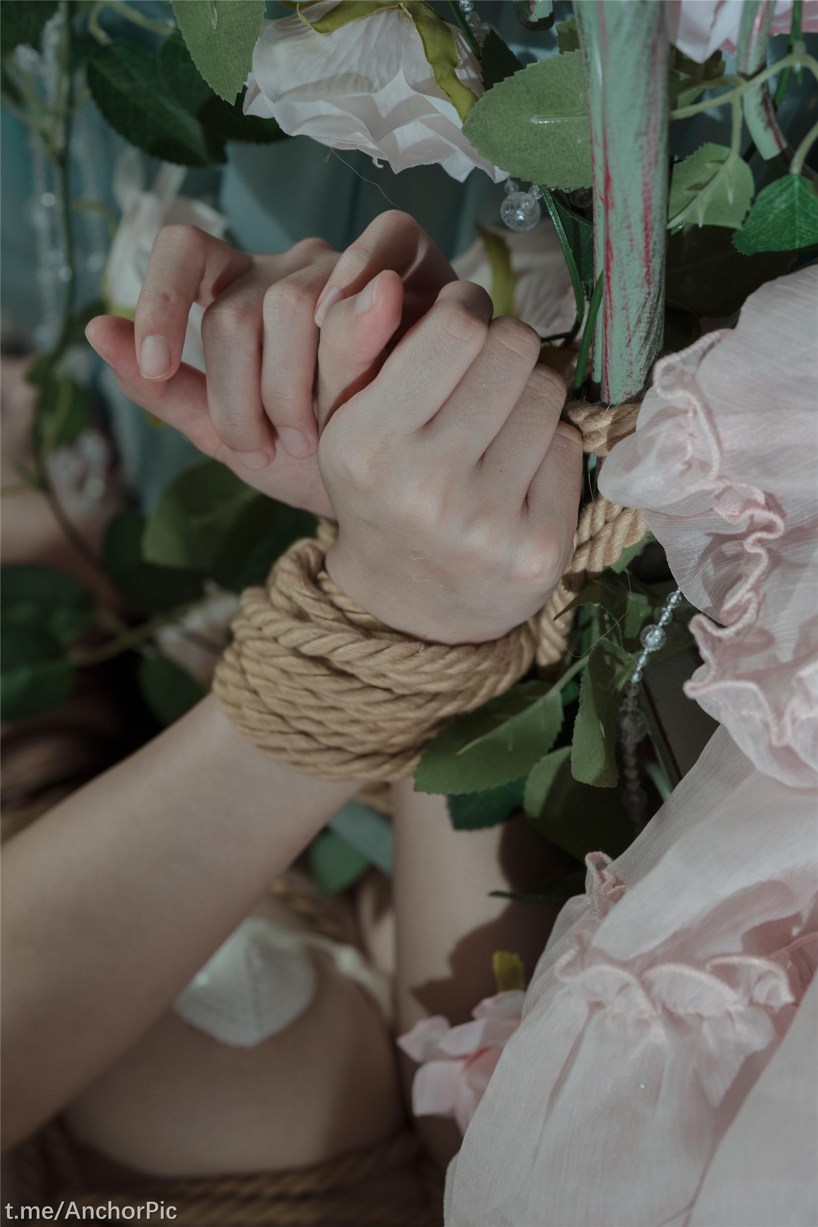ユンシシ - バラの縄芸 [49P