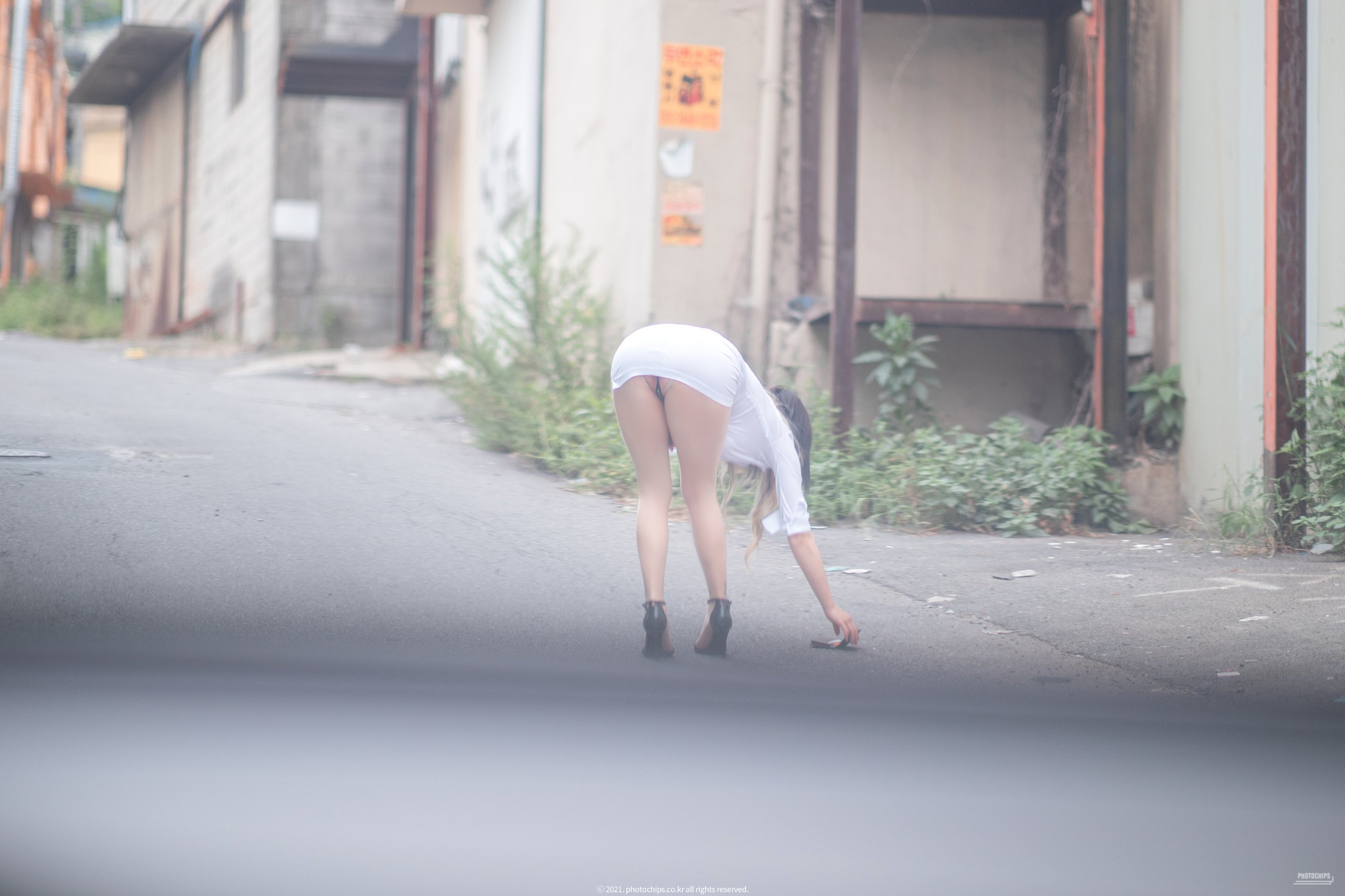 フォトチップス Vol.101 アラム