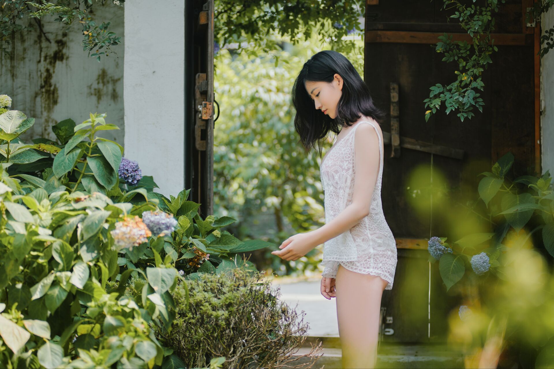 Niên Niên 《Hạ Nhật Tinh Linh》