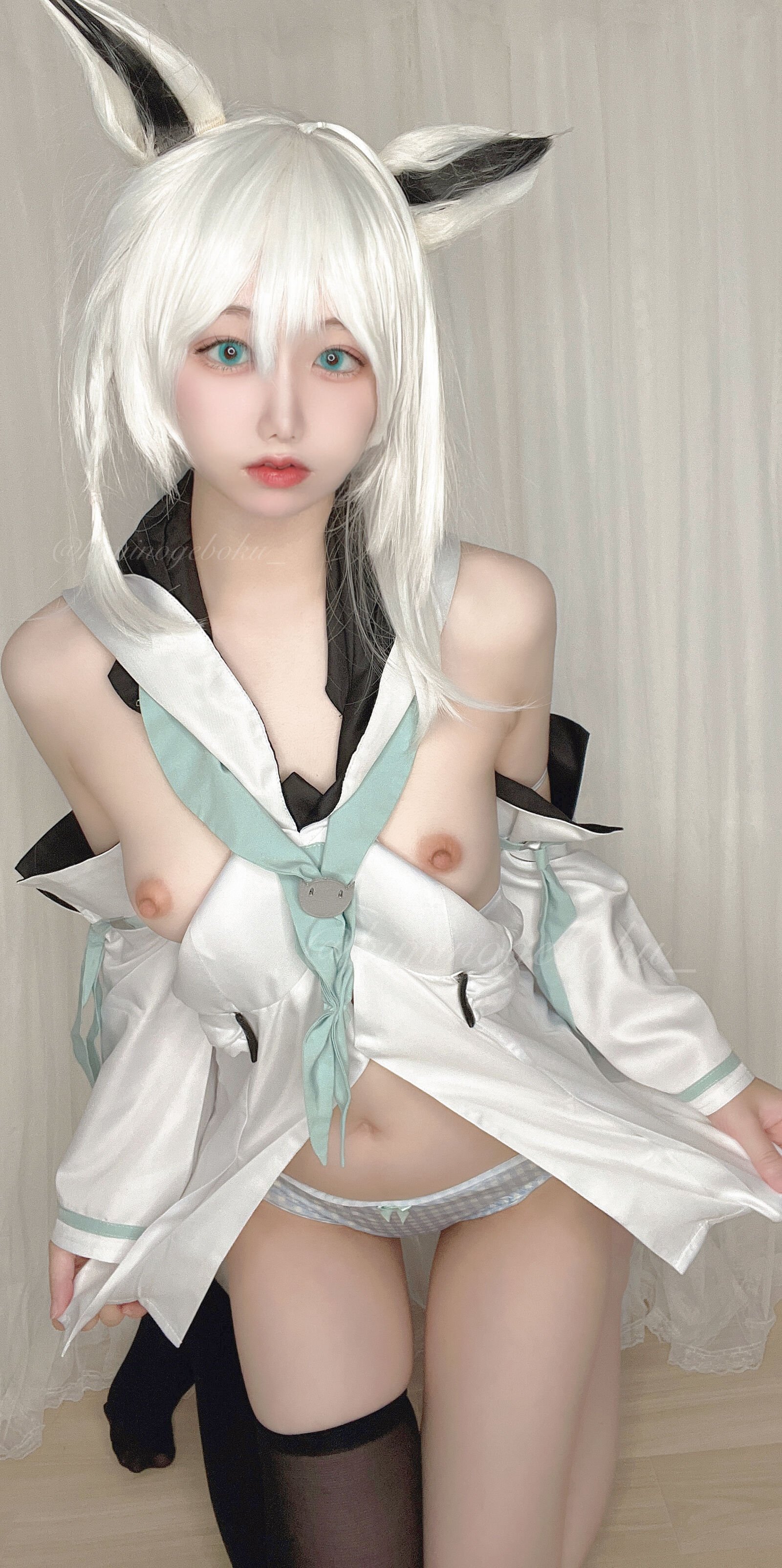 Wanko-chan] Shimakaze - Shirakami Fubuki