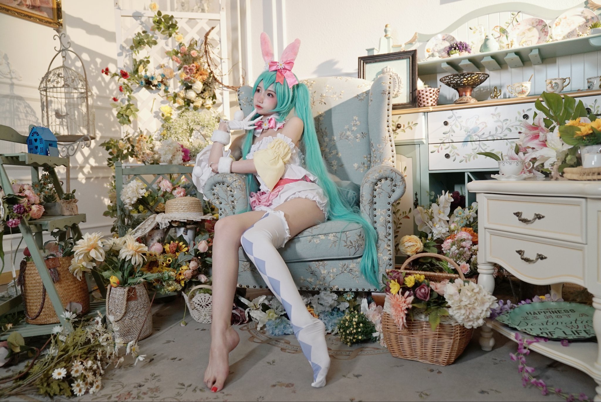 橙子喵醬 - 初音 [5P