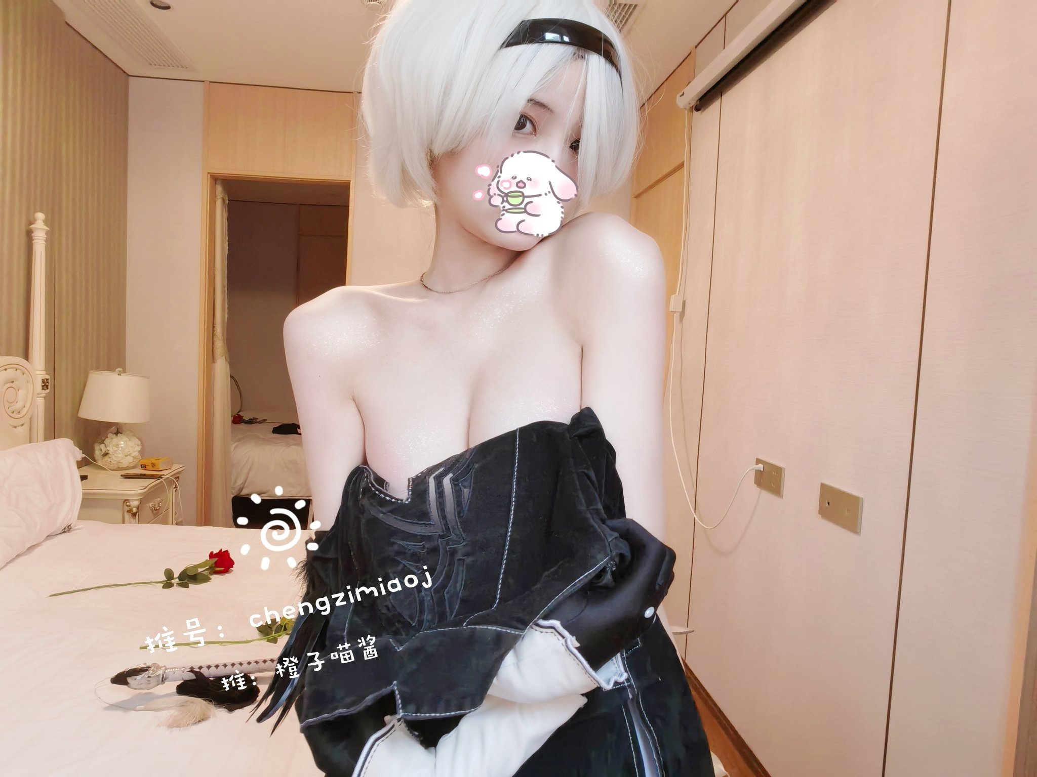 เชิ่งจือเมียวจาง - A2 & 2B ไนเออร์ [24P