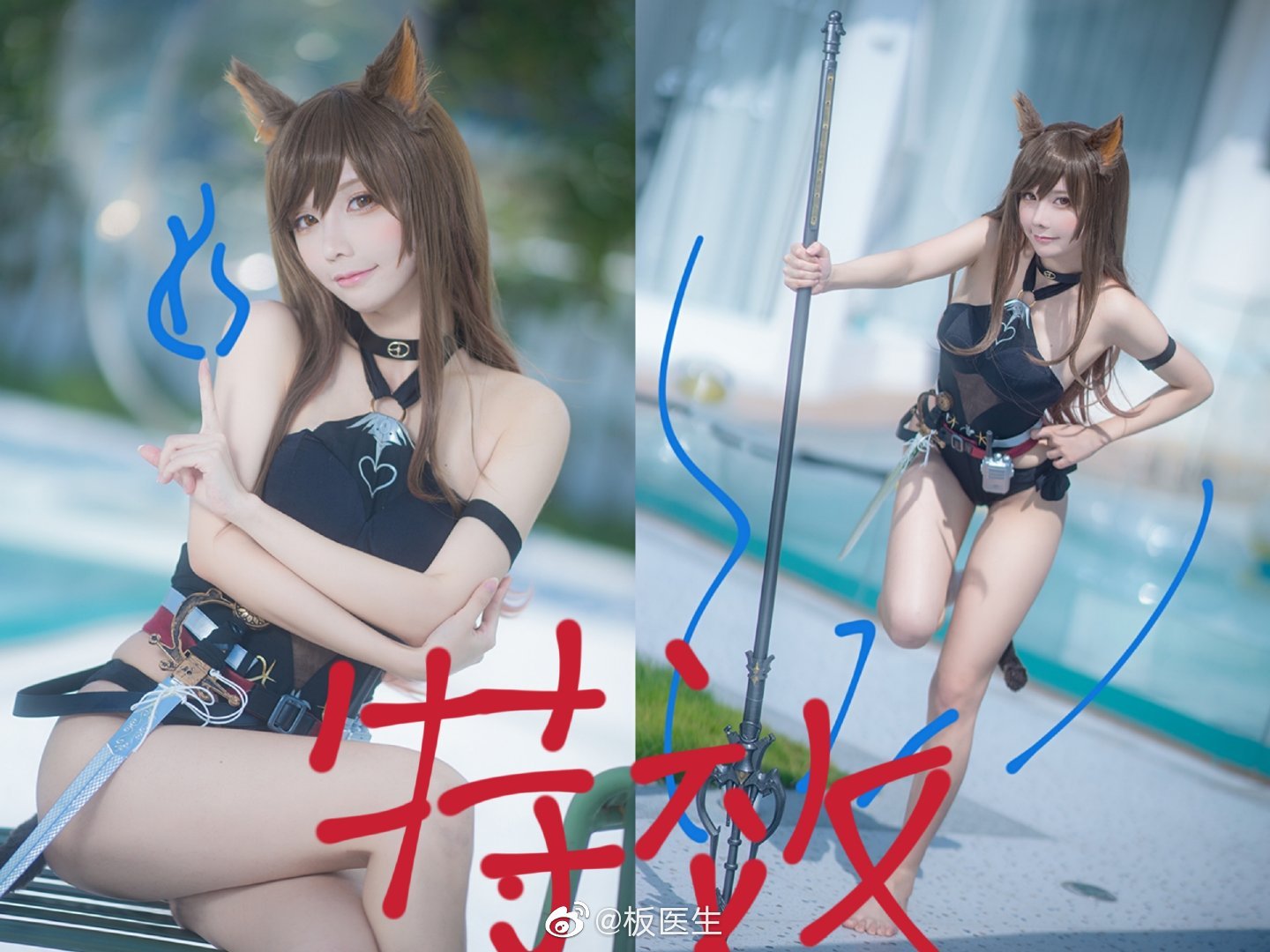 アバンの猫] アークナイツ