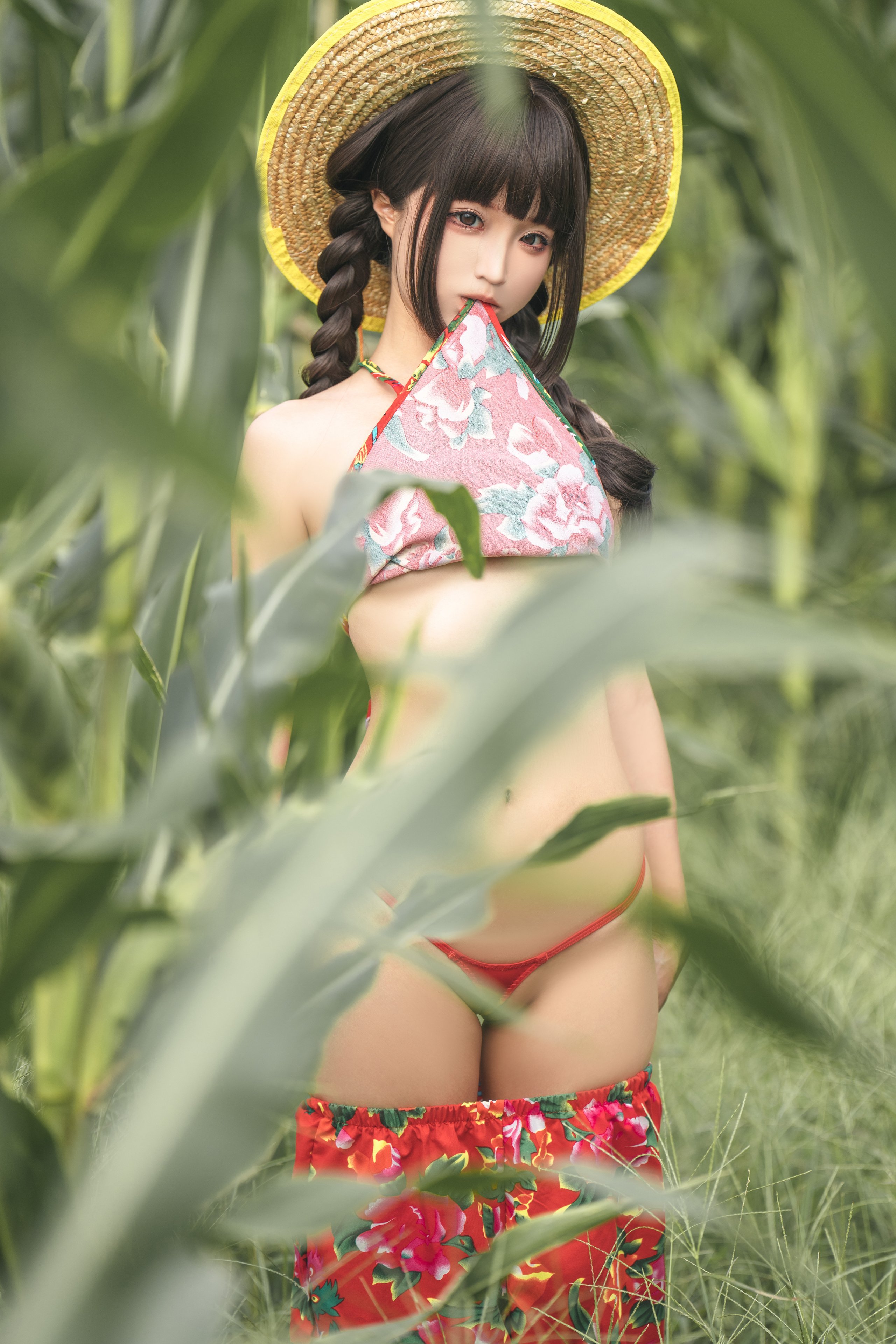 Chun Mo Mo - The Story of the Cornfield
