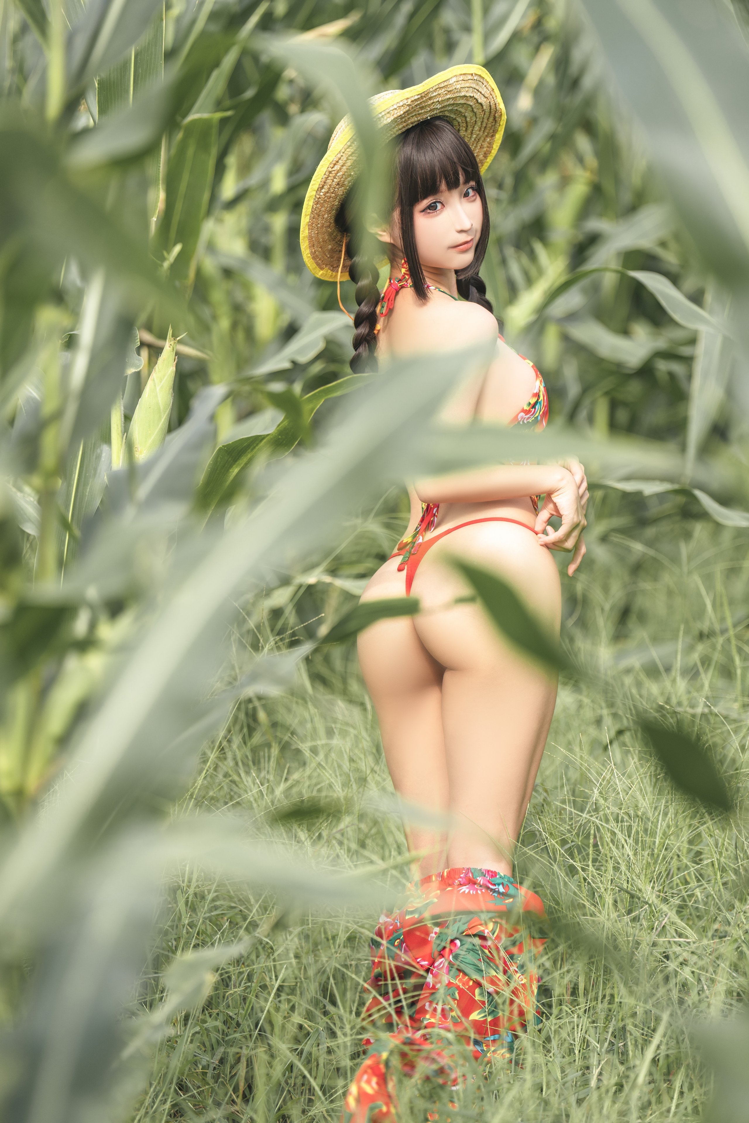 Chun Mo Mo - The Story of the Cornfield