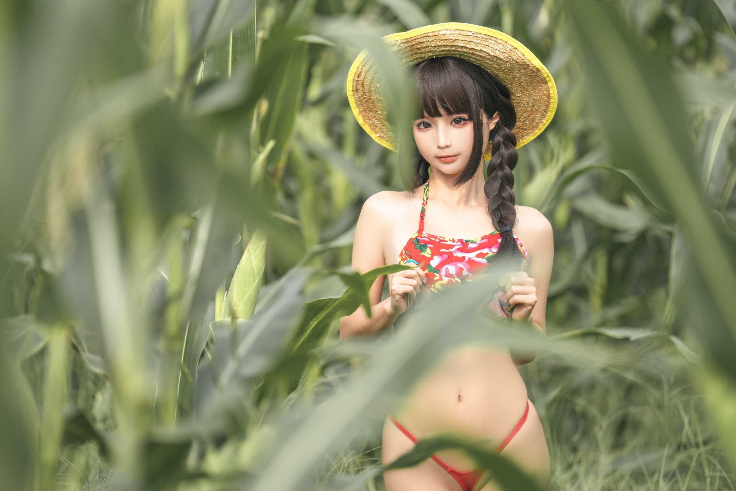Chun Mo Mo - The Story of the Cornfield