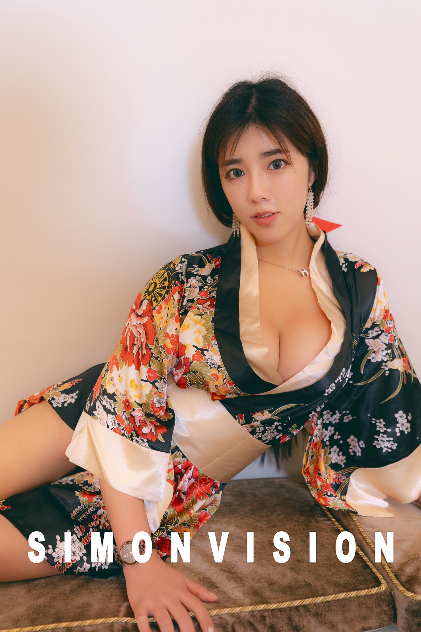 写真家 サイモン ビジョン 作品集