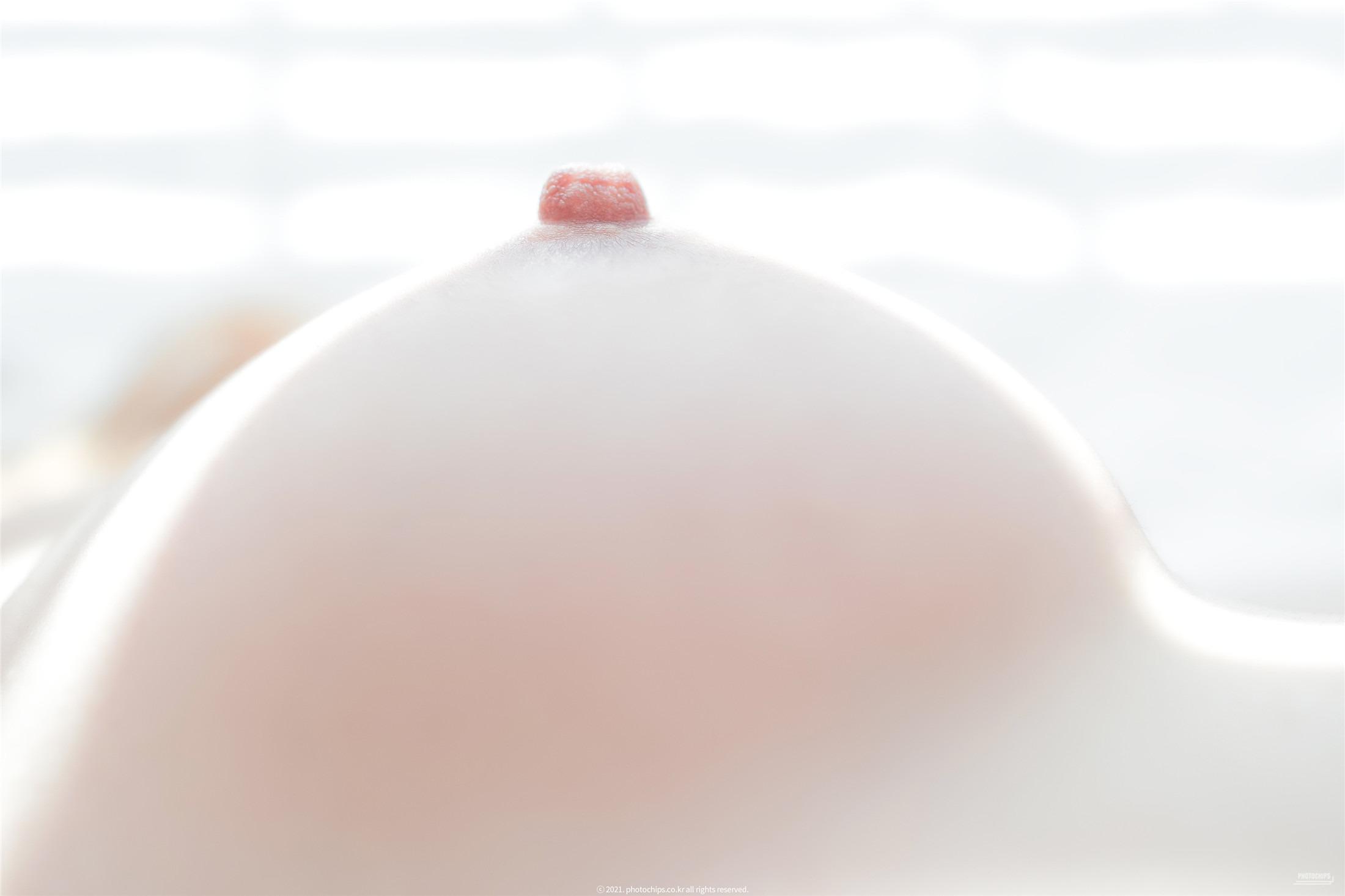 PhotoChips] 第109卷 達米 (퀸다미) 115頁