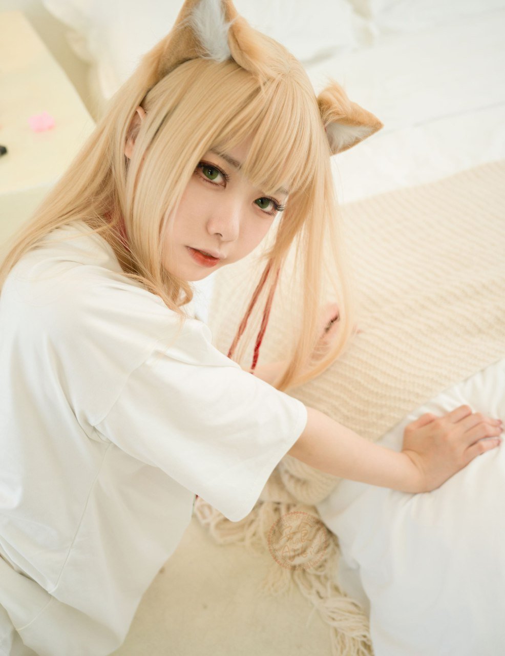 Anshoku AJIKI "Soybean Powder