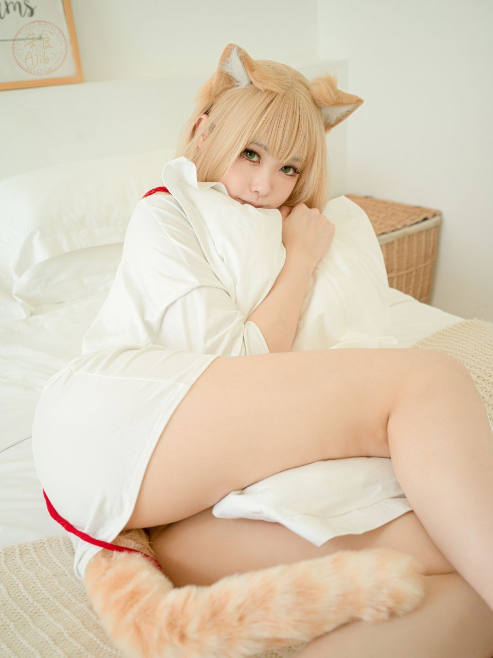Anshoku AJIKI "Soybean Powder