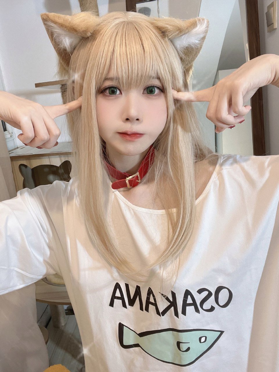 Anshoku AJIKI "Soybean Powder