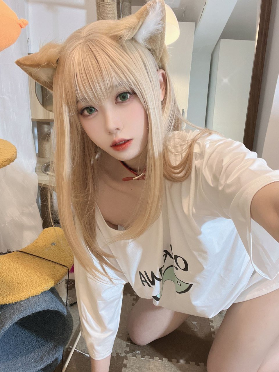 Anshoku AJIKI "Soybean Powder