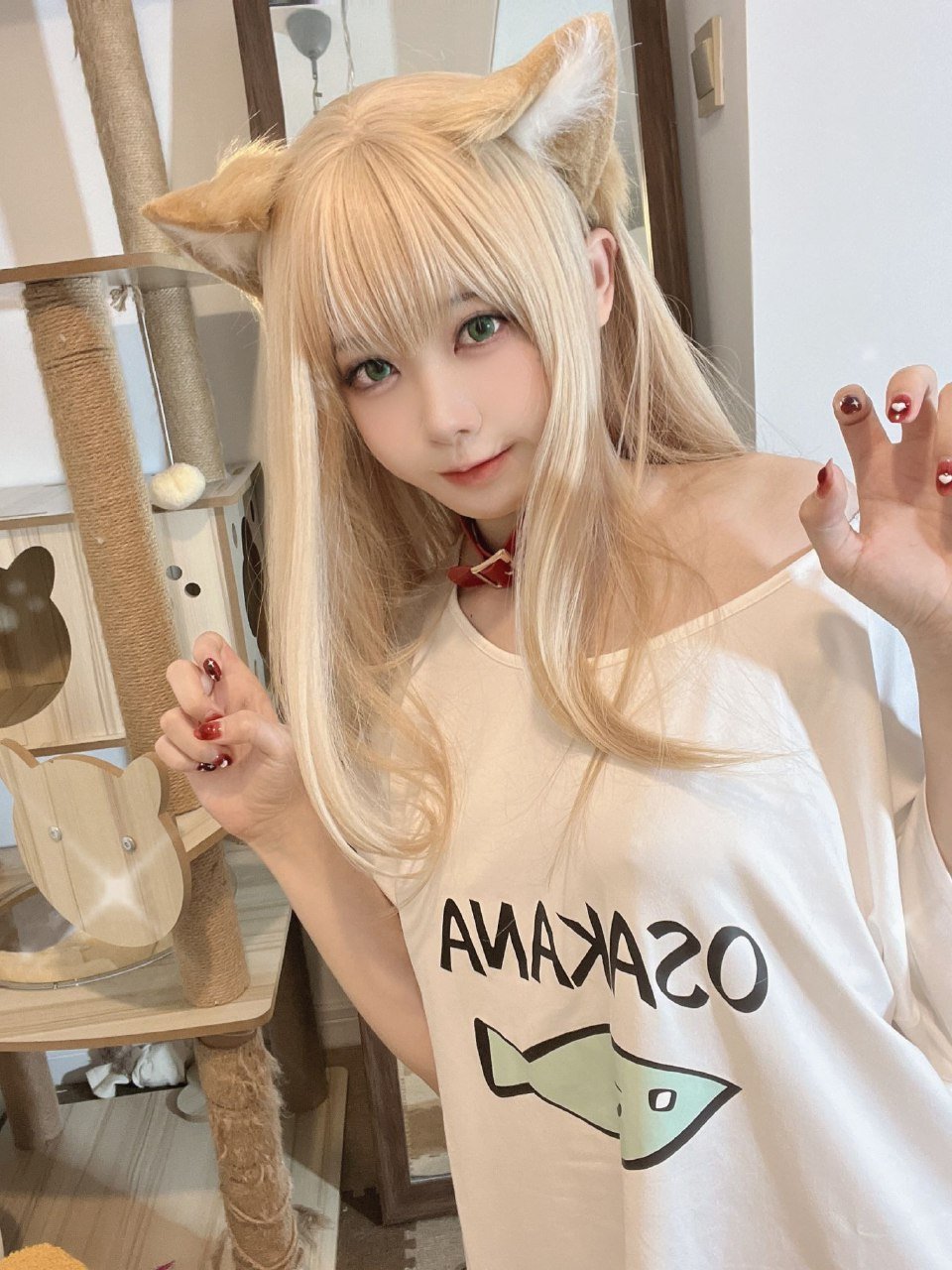 Anshoku AJIKI "Soybean Powder