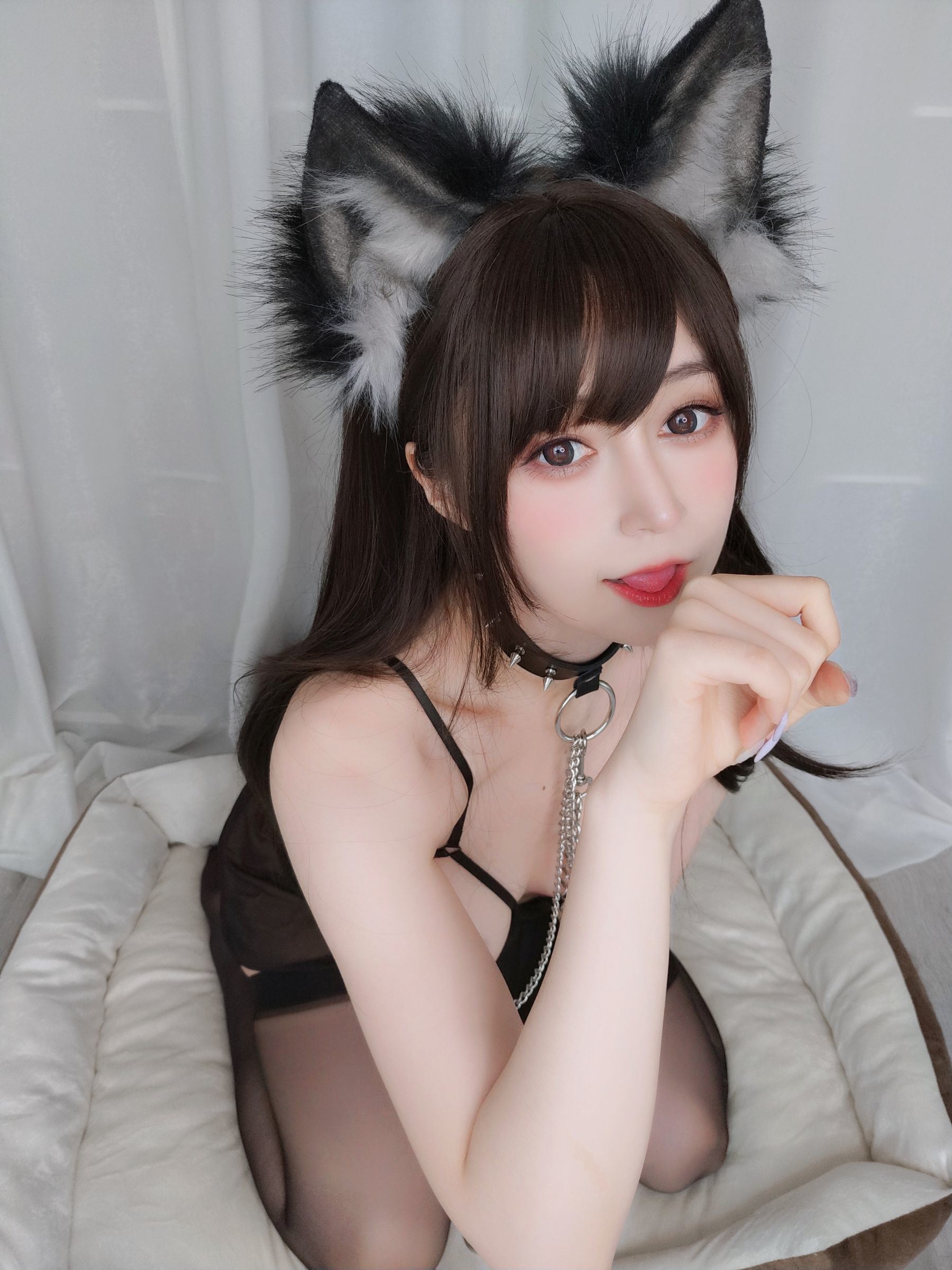 Net Hong COS] Coser tiểu thư Bạch Ngân - Con mèo bị bắt, con chó muốn đi chơi.
