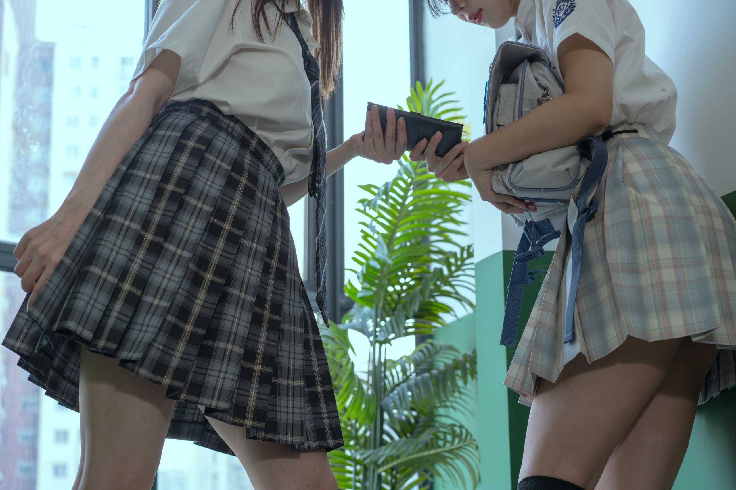 秋和柯基 霸凌日記
