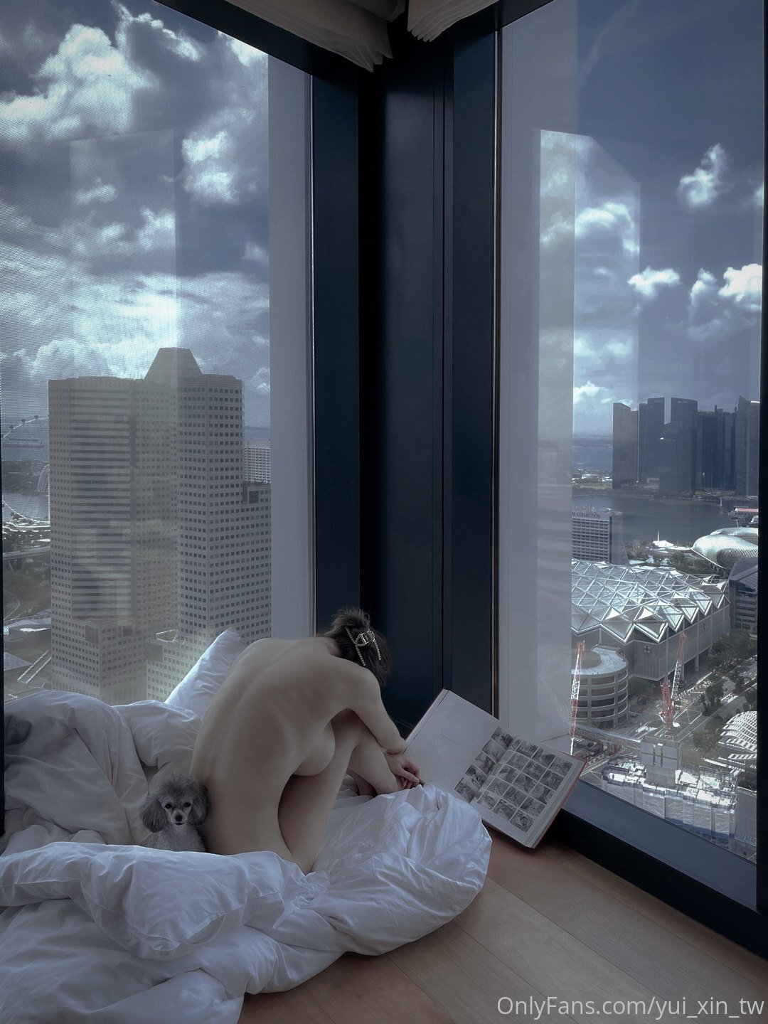 Xin Youli - Miscellaneous Atlas