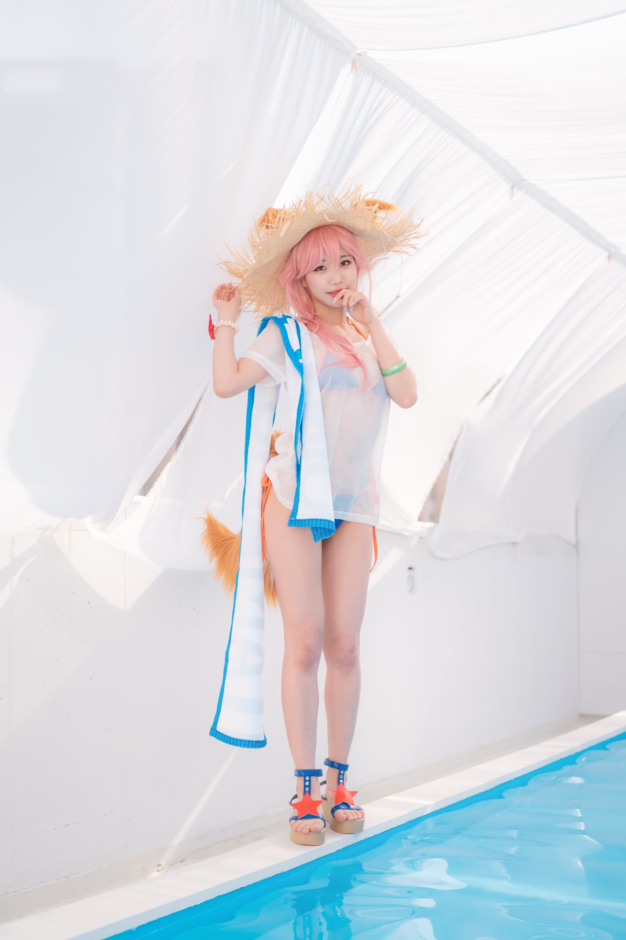 蘇花 玉藻 夏天 (P)