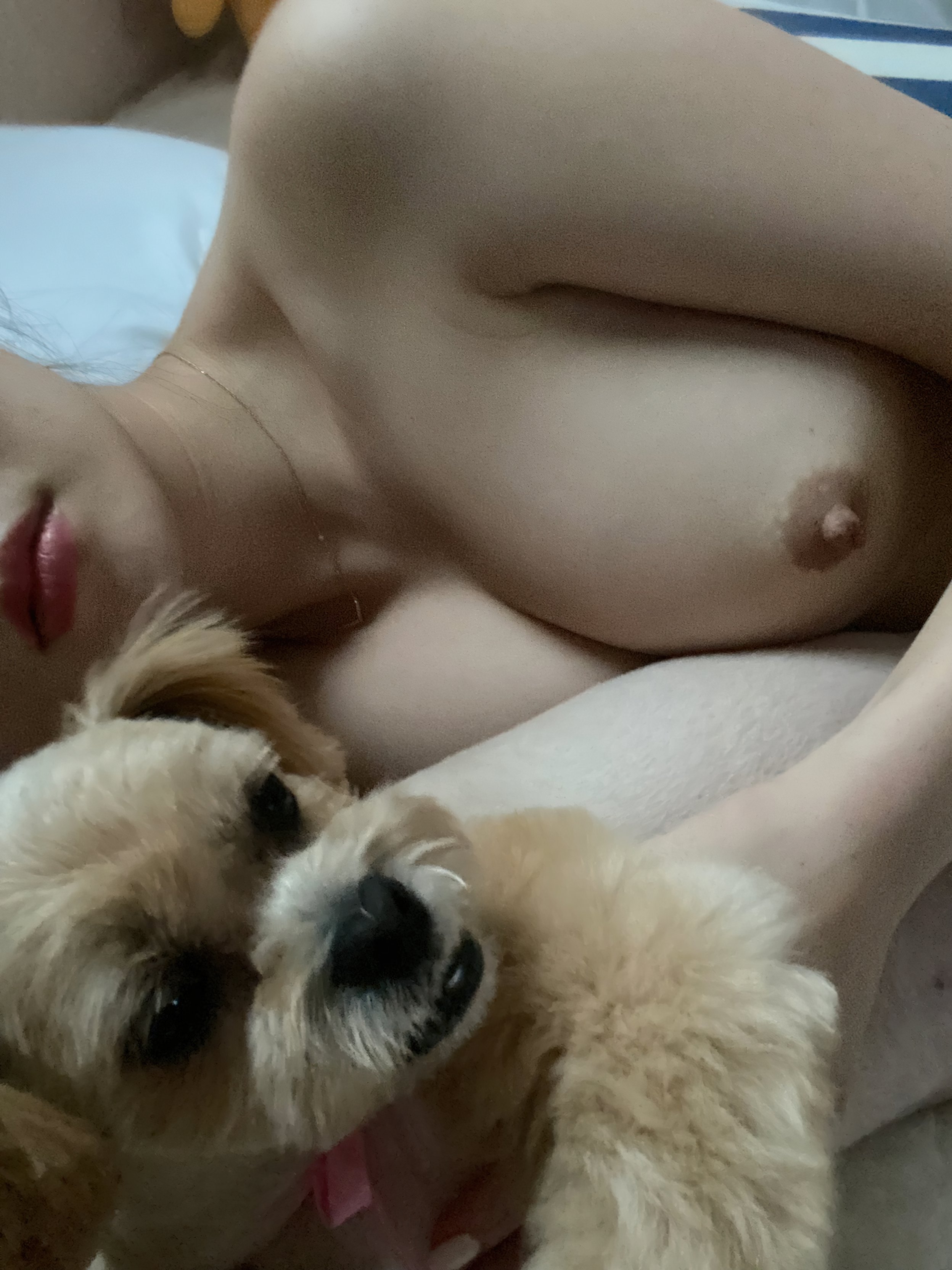 제나의 프라이빗 뷰 (P)