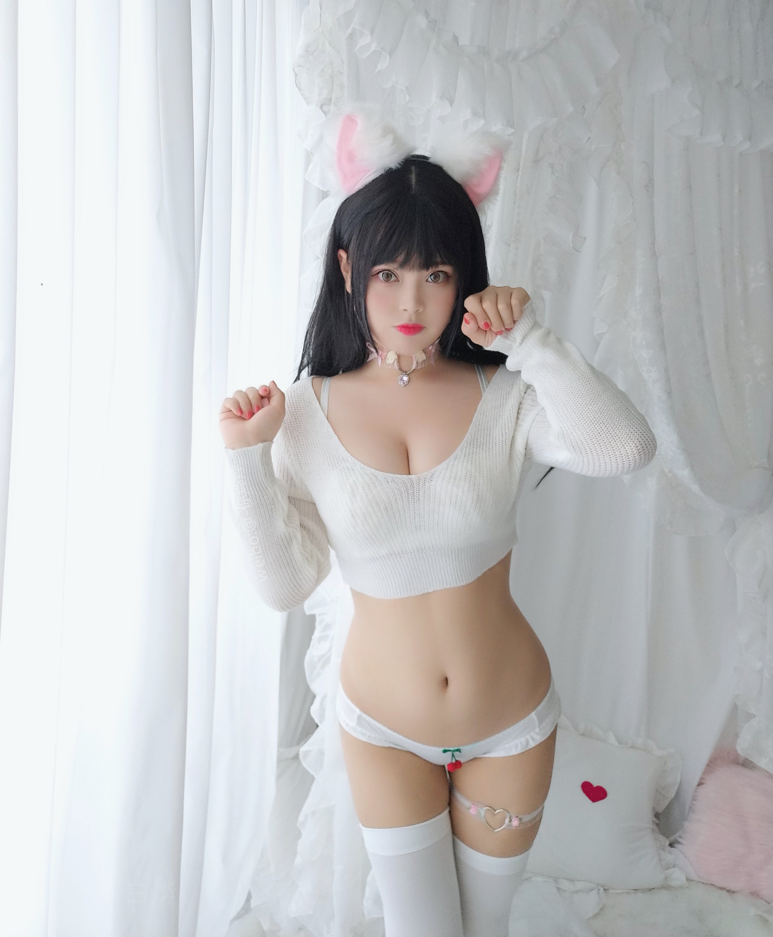 白烨- - 小奶猫