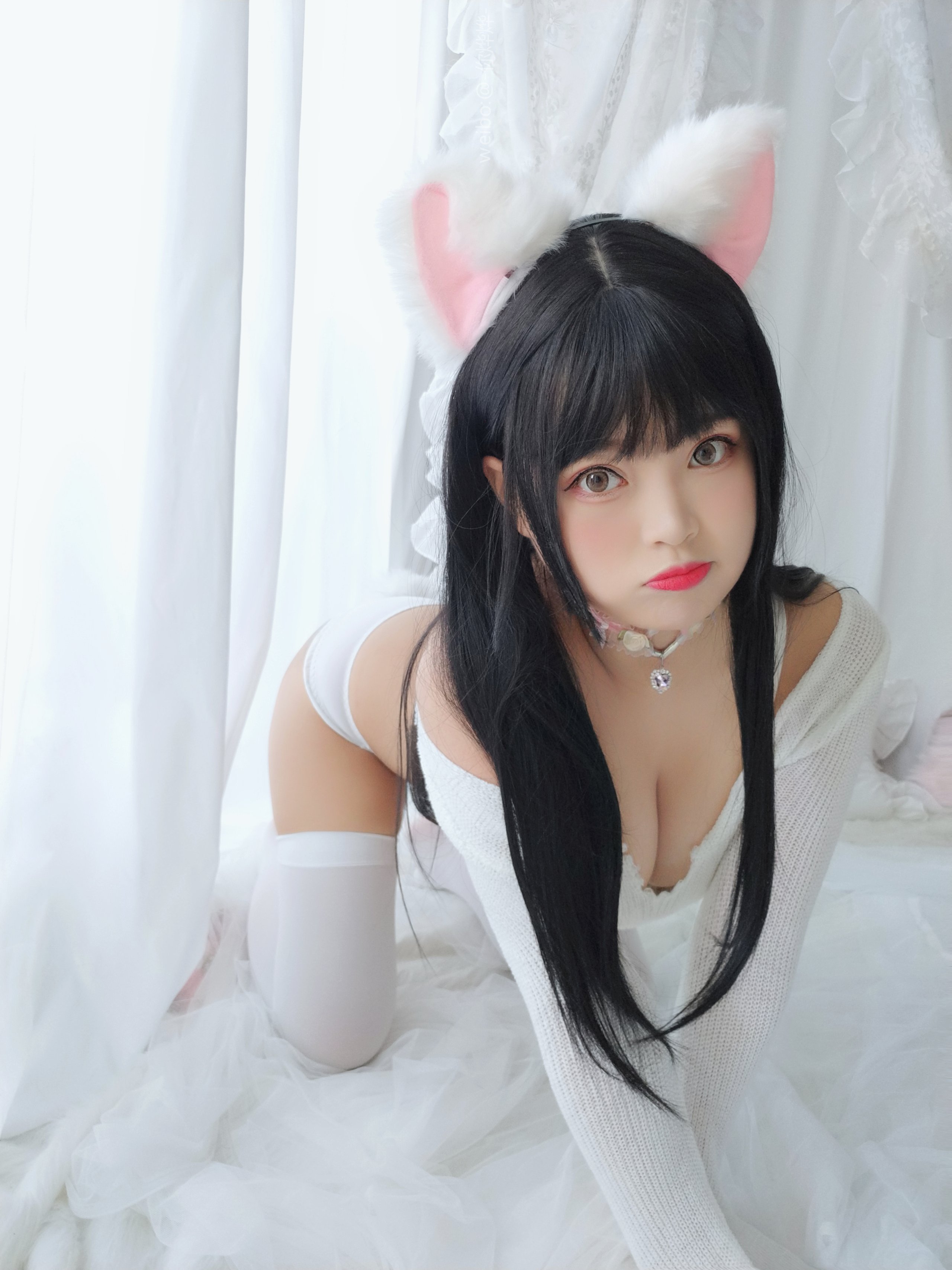 Bai Ye - Little Milk Cat