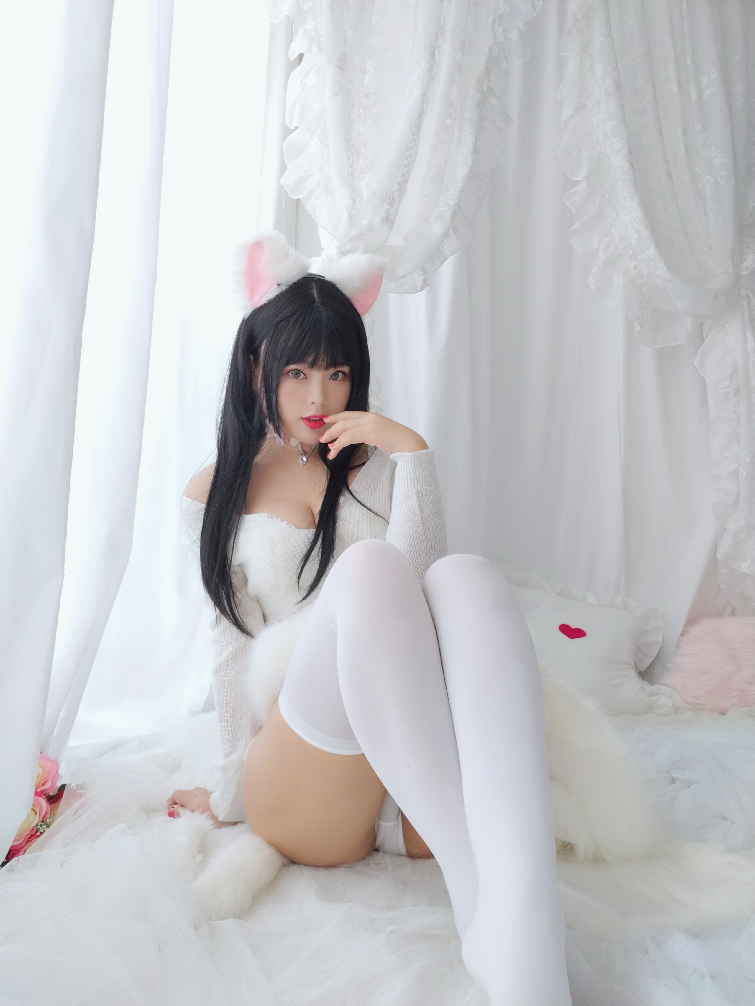 Bạch Dạ - Mèo con con