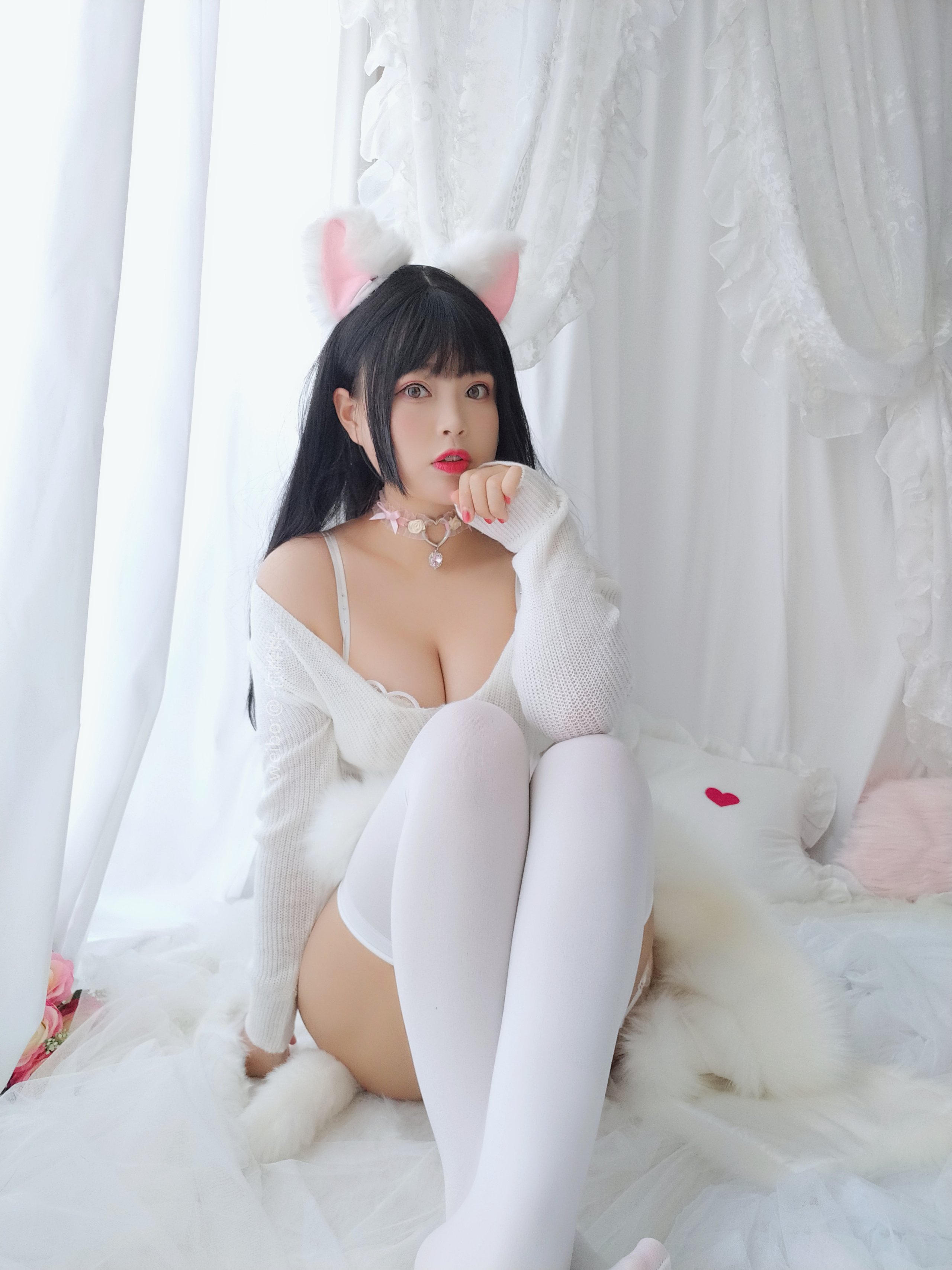 Bạch Dạ - Mèo con con