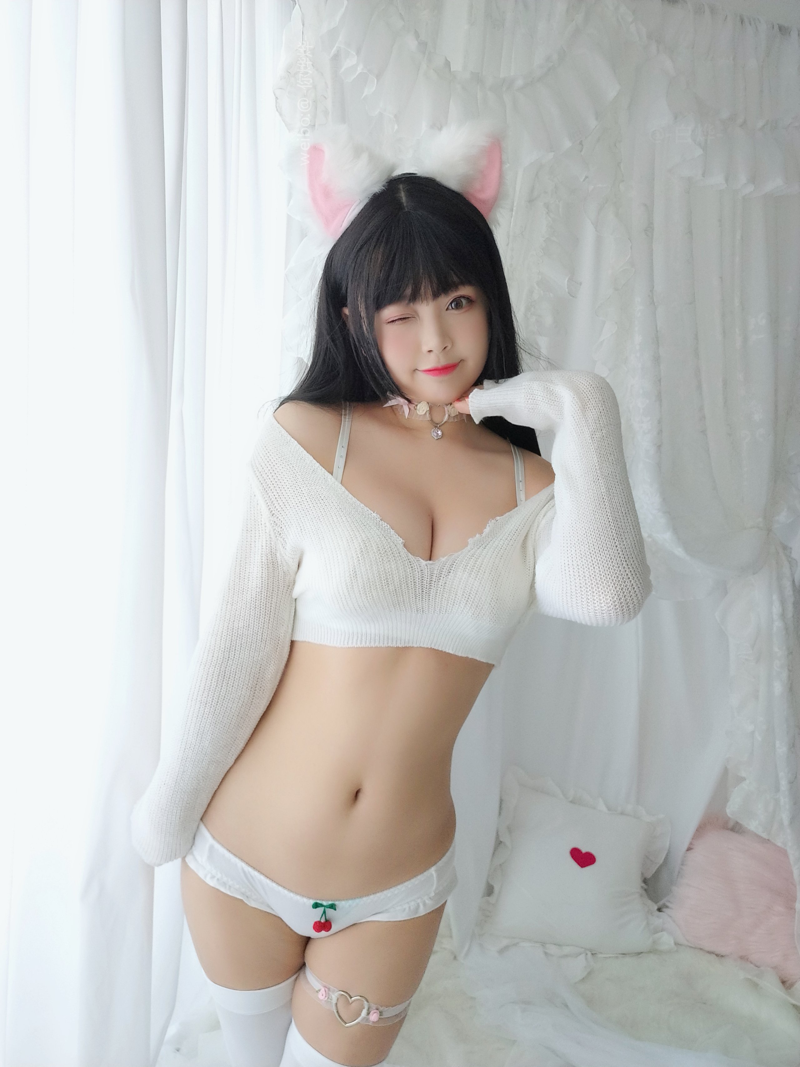 白烨- - 小奶猫
