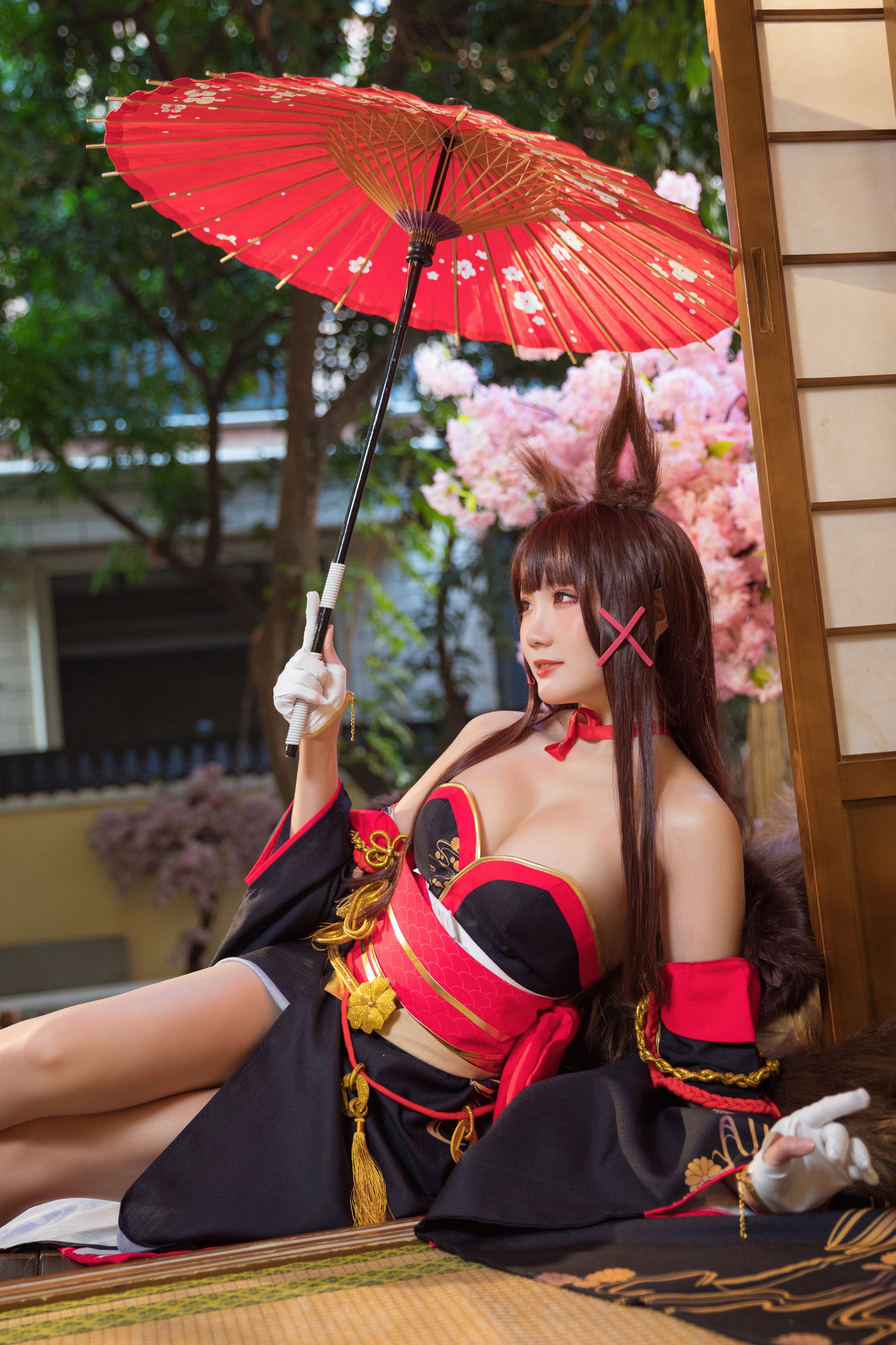 Guaxi Jiang] Akagi