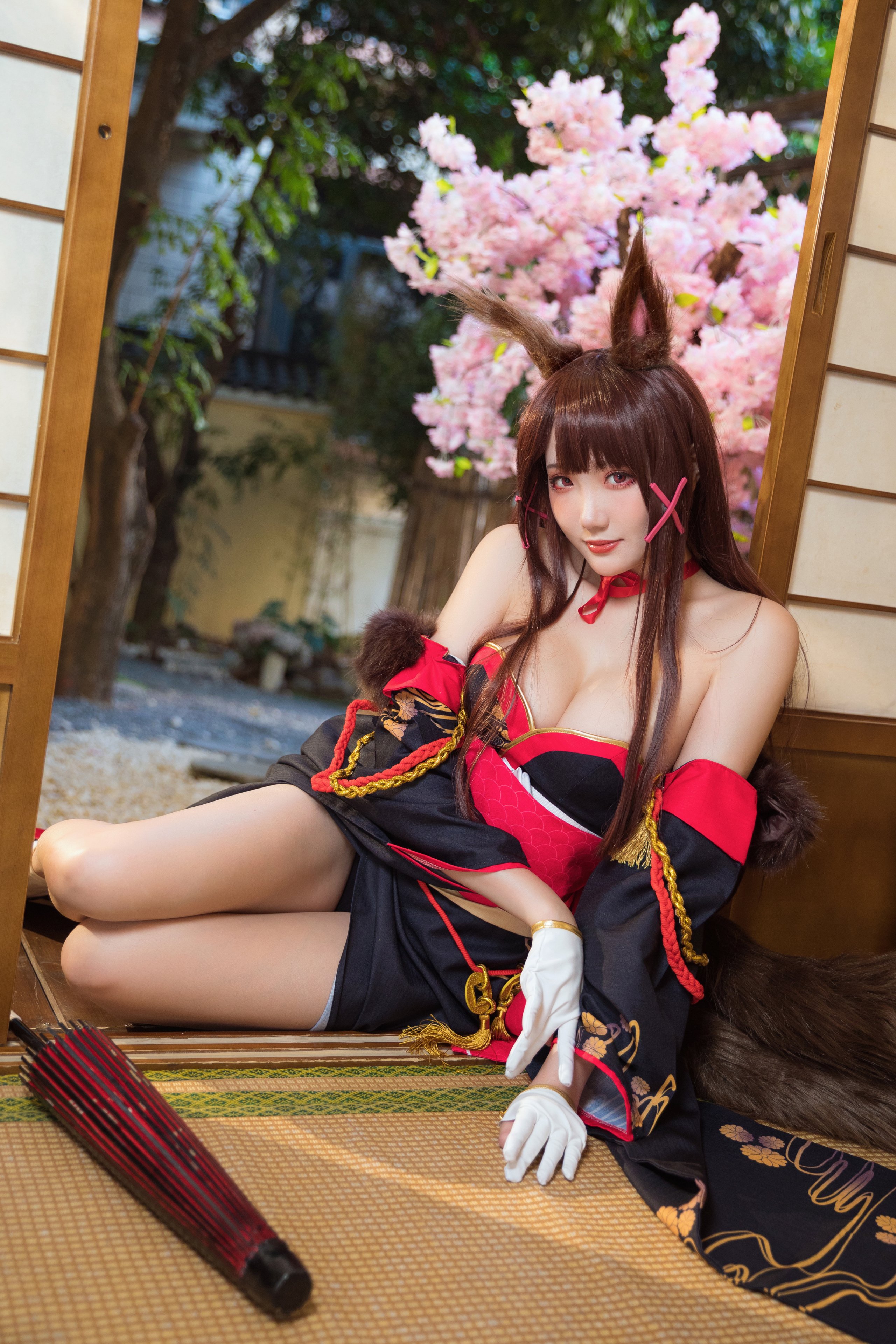 Guaxi Jiang] Akagi