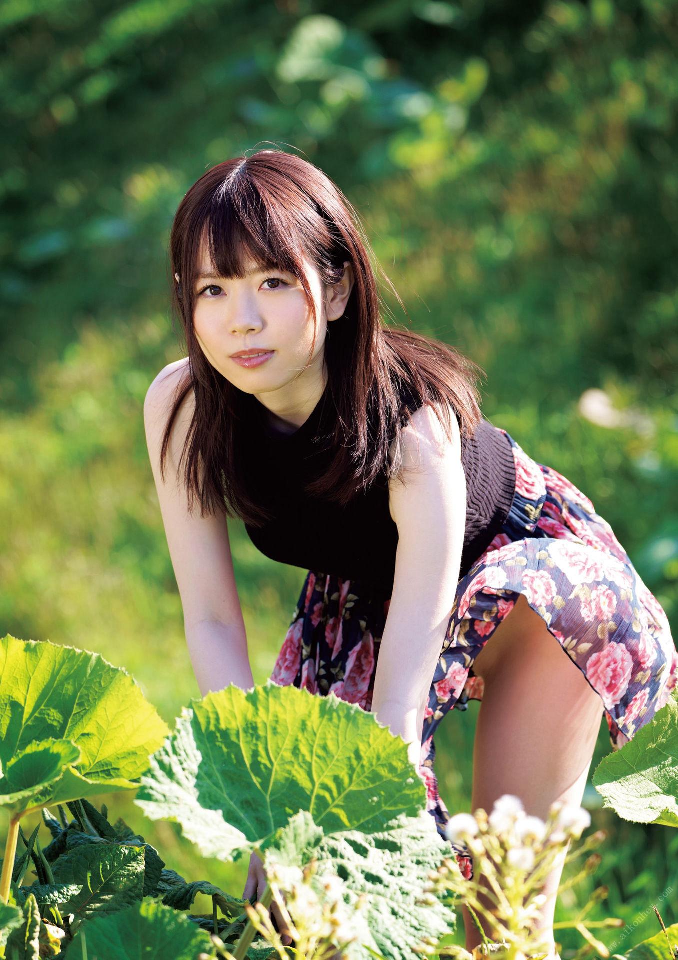 มิซึ โตะ ซากุระ หนังสือภาพ 「โคคุสึ」