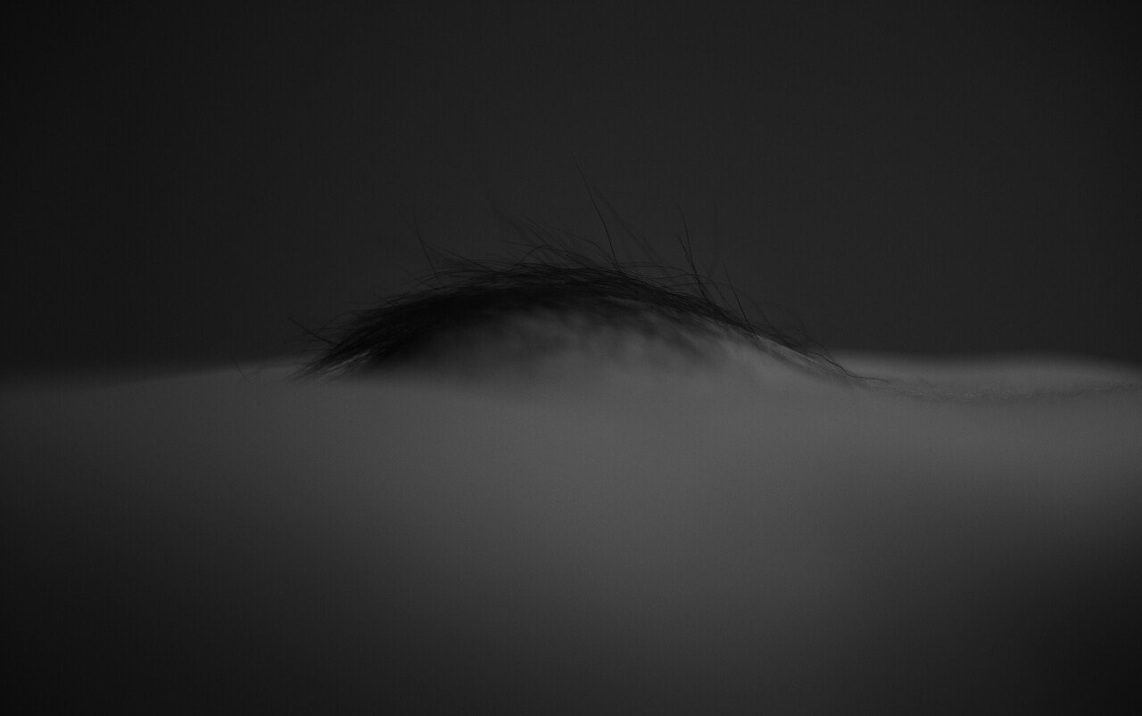 PERRY.X Photography Collection