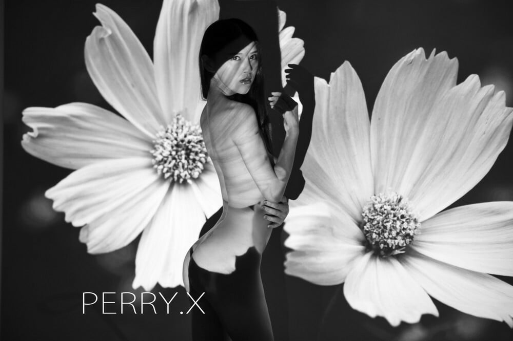 PERRY.X Photography Collection