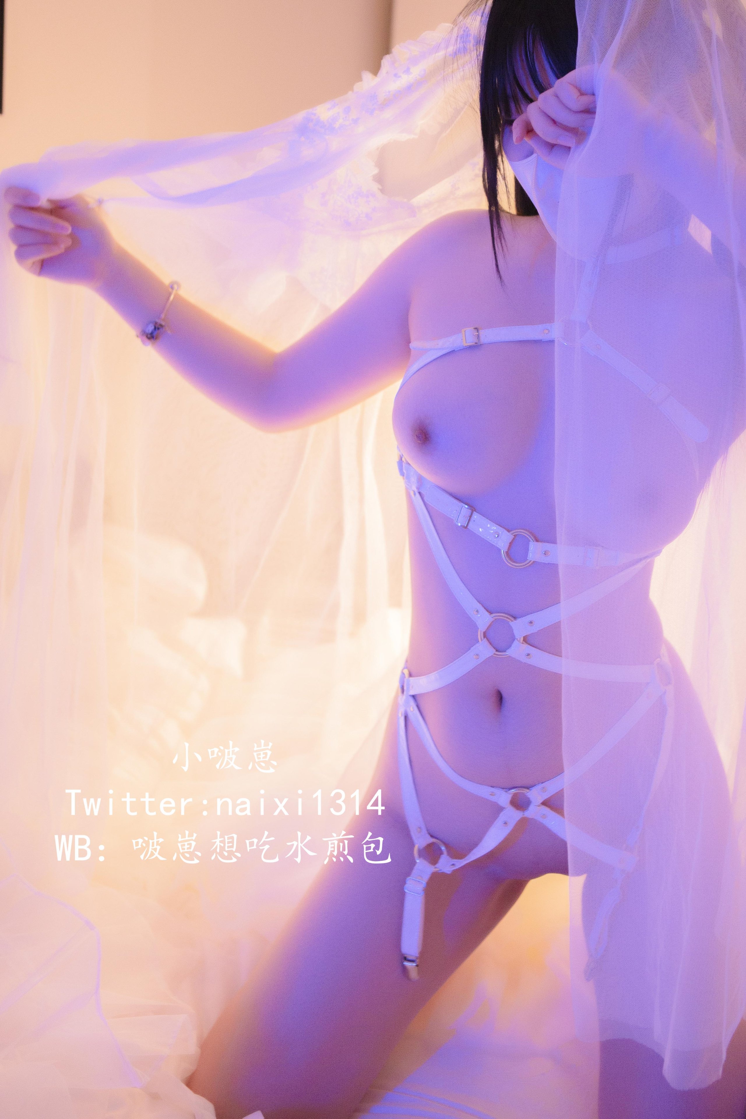 パオザイファン--朧白紗