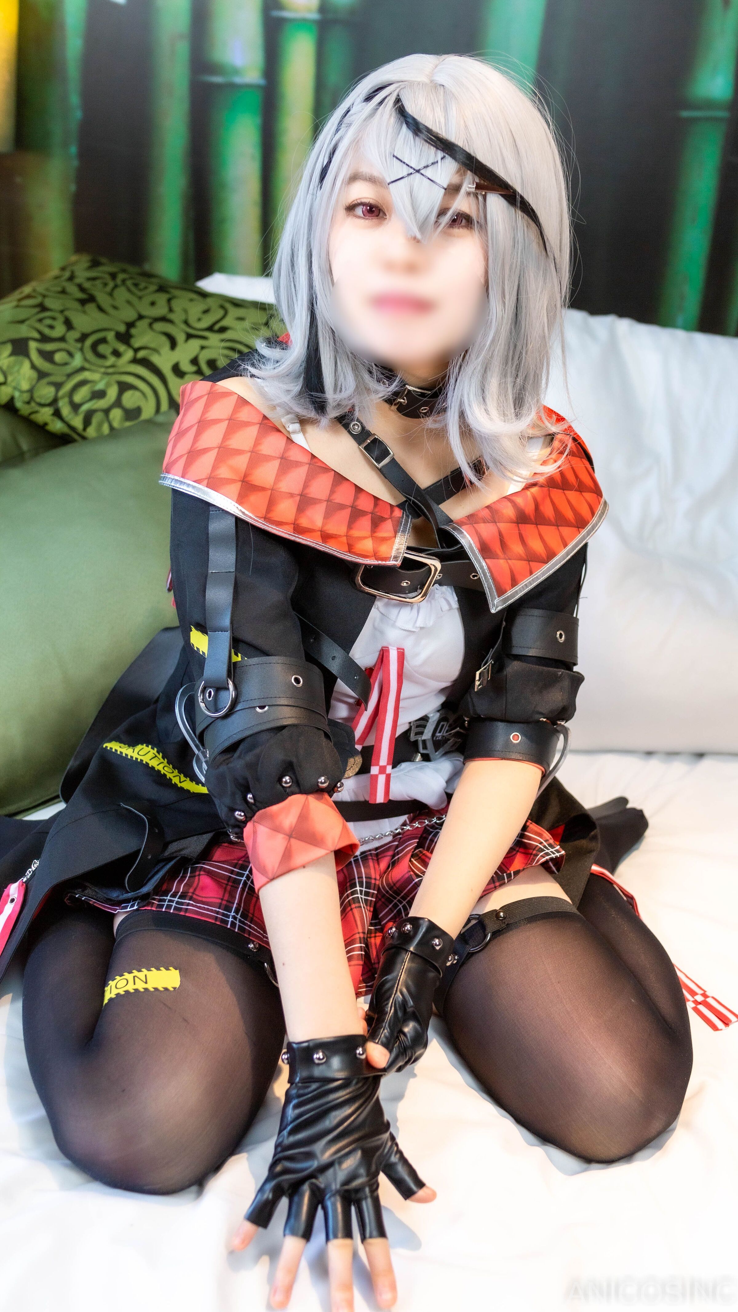 アニコスカンパニー ANICOSINC SKMT