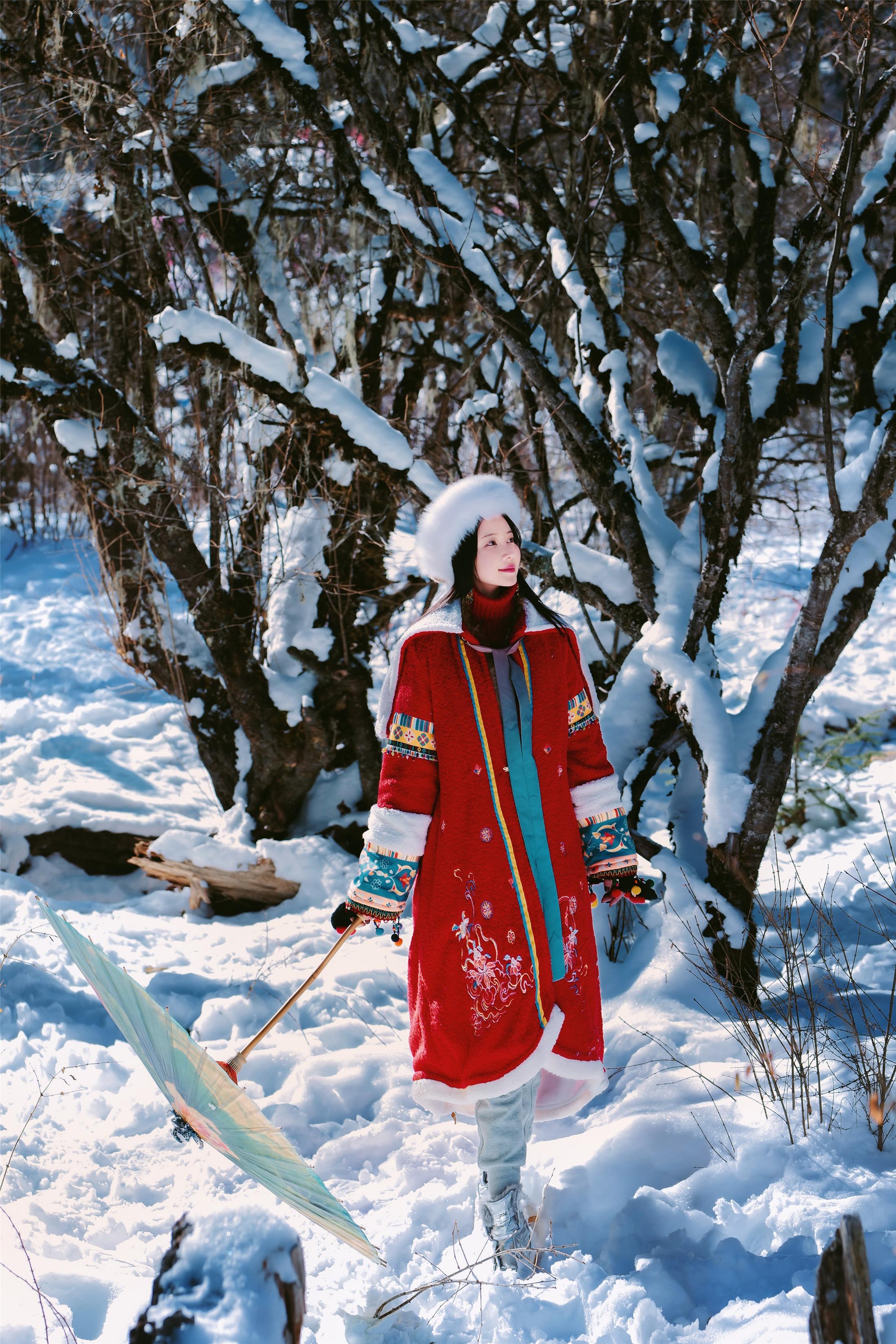 Nian Nian - Auspicious Snow Heralds a Bountiful Year, Two Sets, 74P