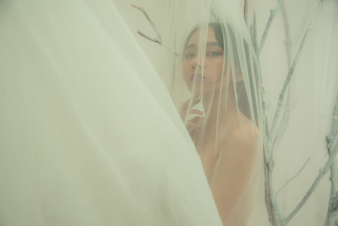 ベトナムの写真集インフルエンサー