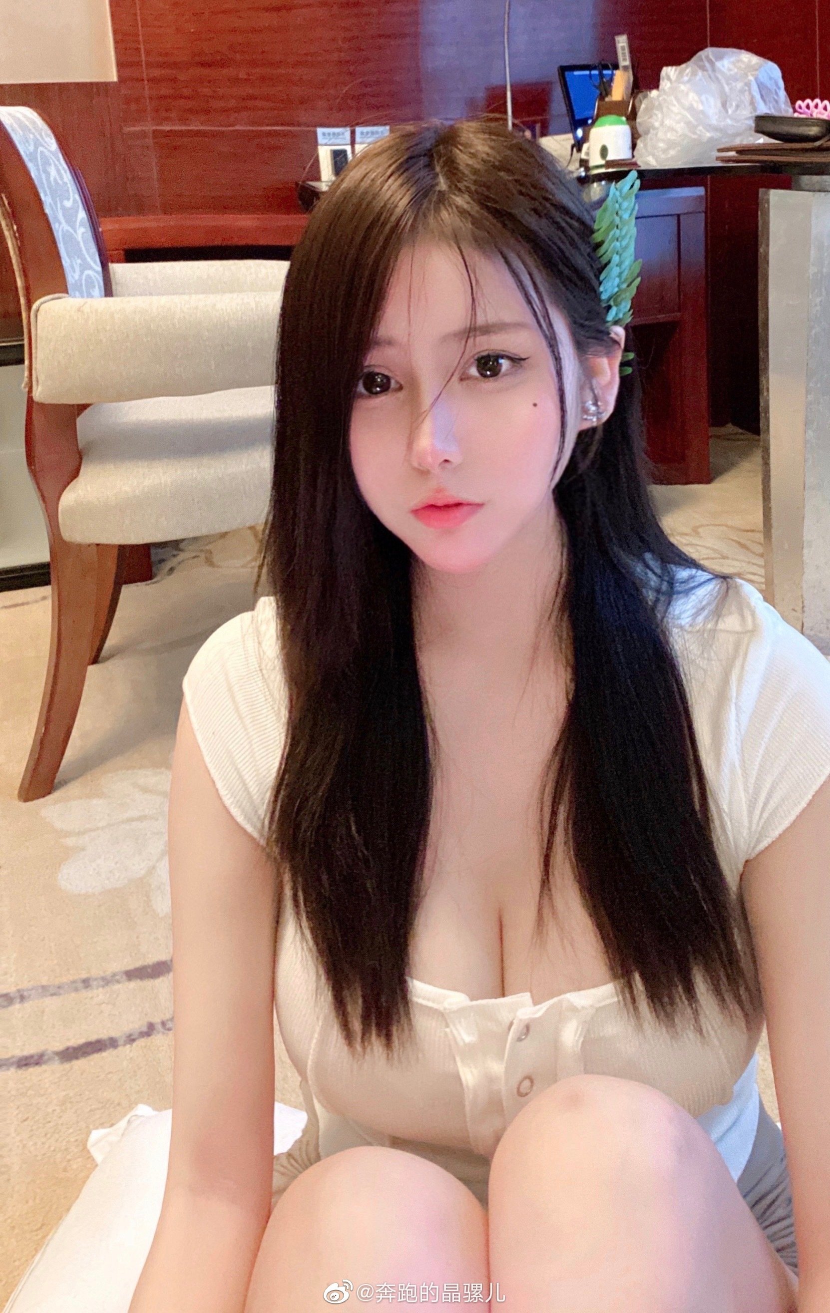 ภาพวิ่งของจิงลั่วเอ๋อในเว่ยป๋อแบบผสม