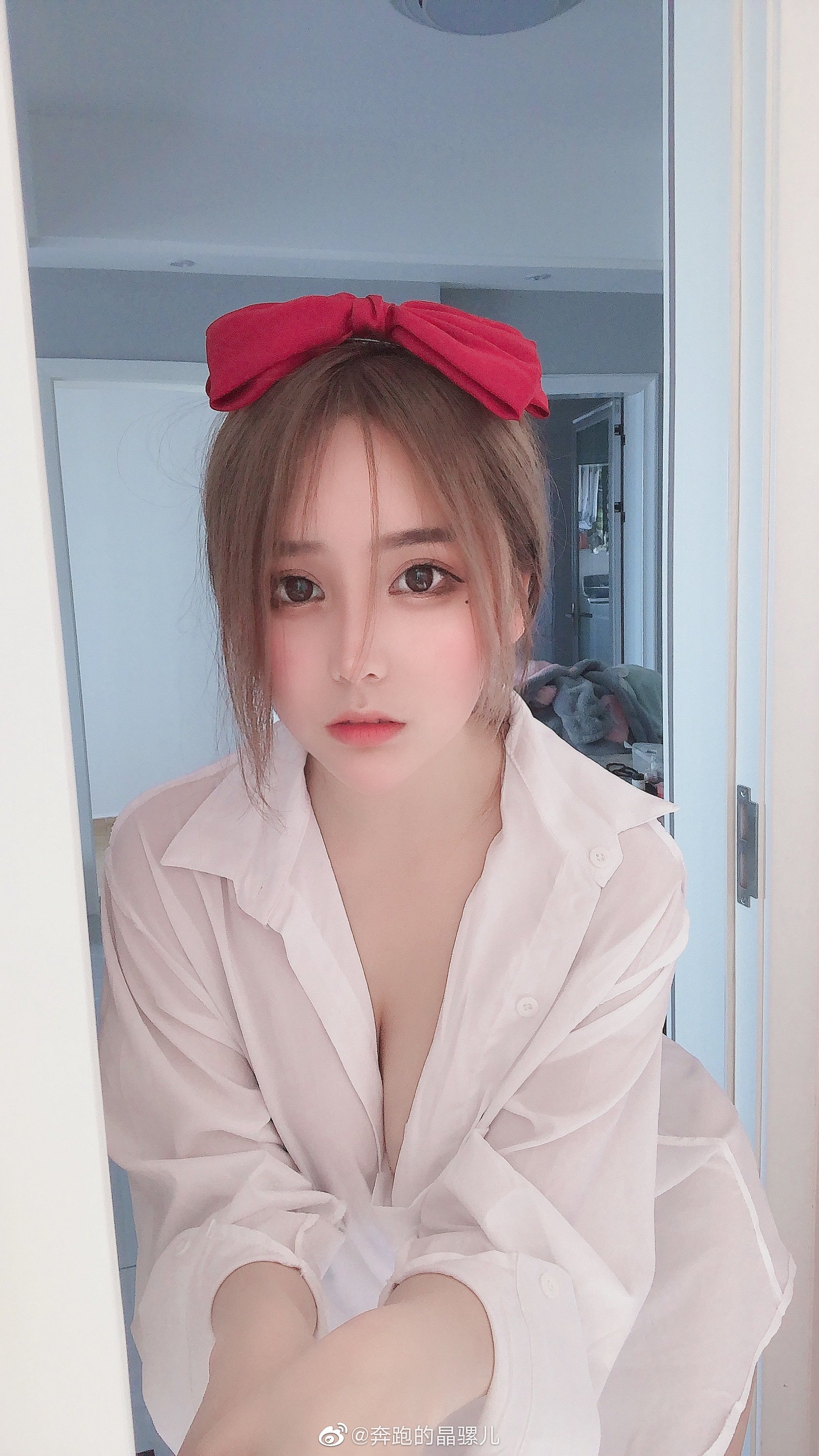 ภาพวิ่งของจิงลั่วเอ๋อในเว่ยป๋อแบบผสม