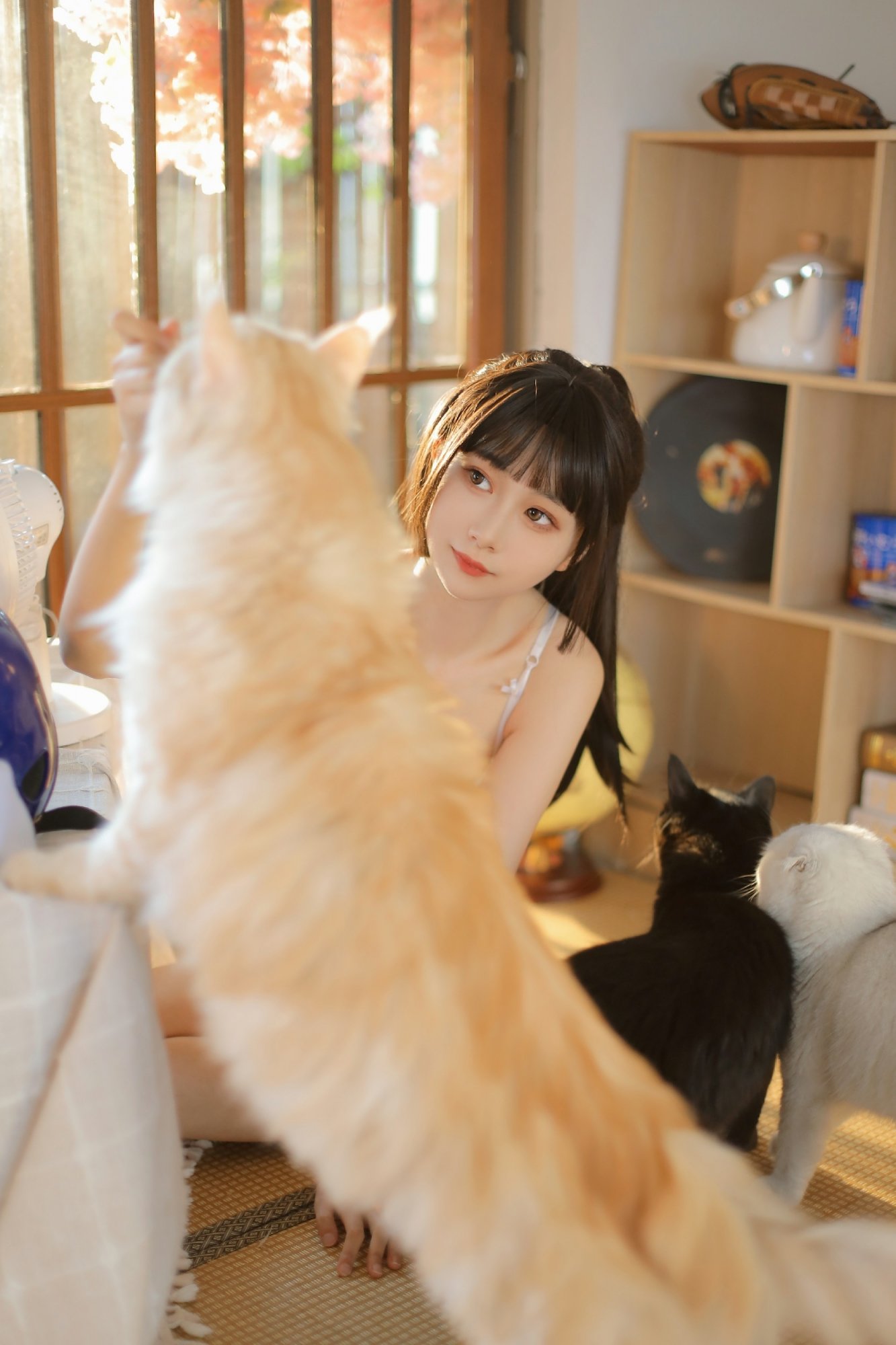 Kinngyo 夏日午後 Photo Set