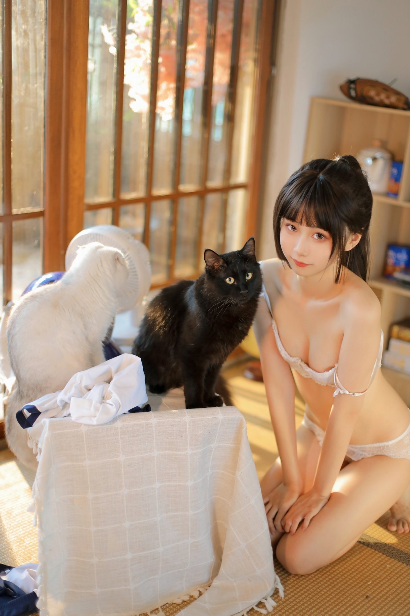 金魚kinngyo 夏日午後 写真セット
