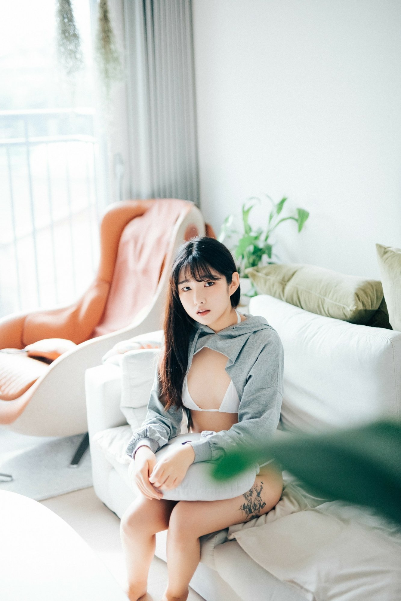 Sonson (Son-son) Photo - 06